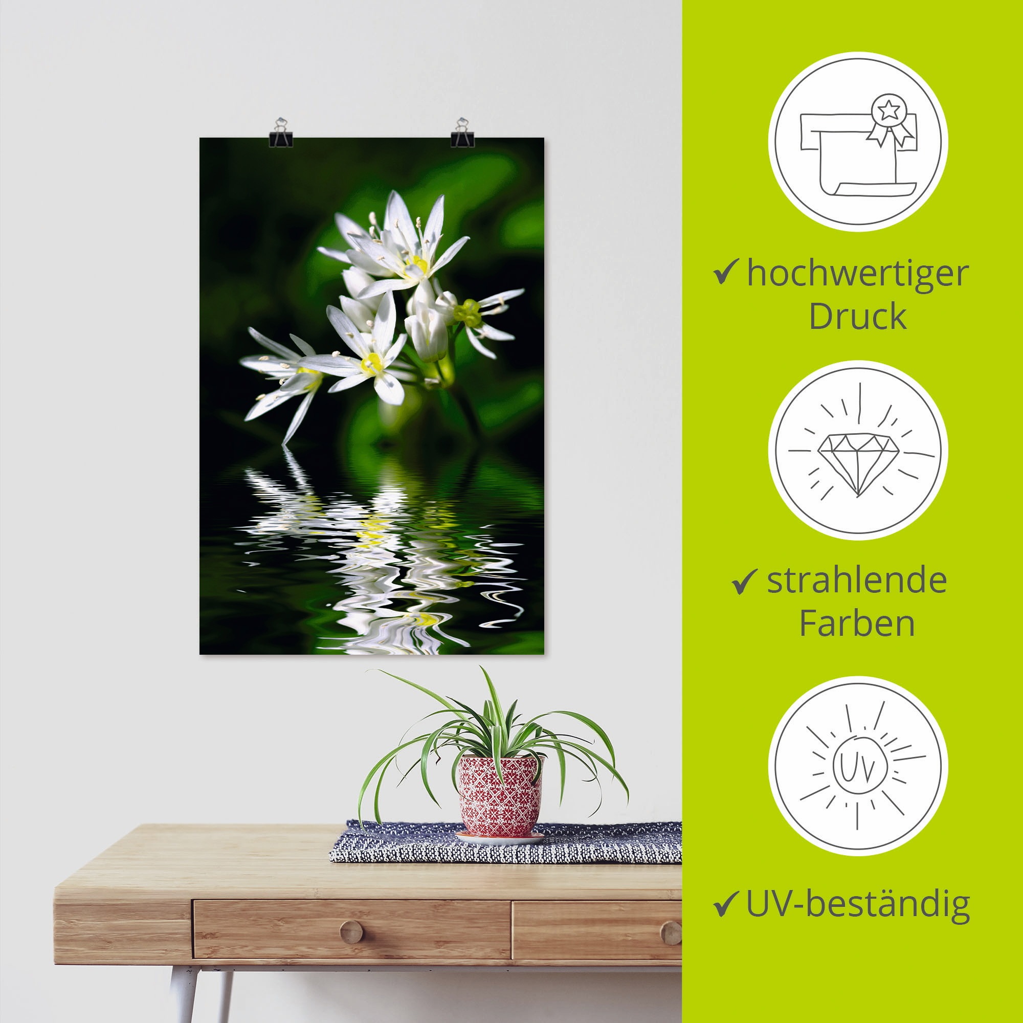 Artland Wandbild »Bärlauchblüten mit Wasserspiegelung«, Lebensmittel, (1 St.), als Leinwandbild, Poster in verschied. Größen
