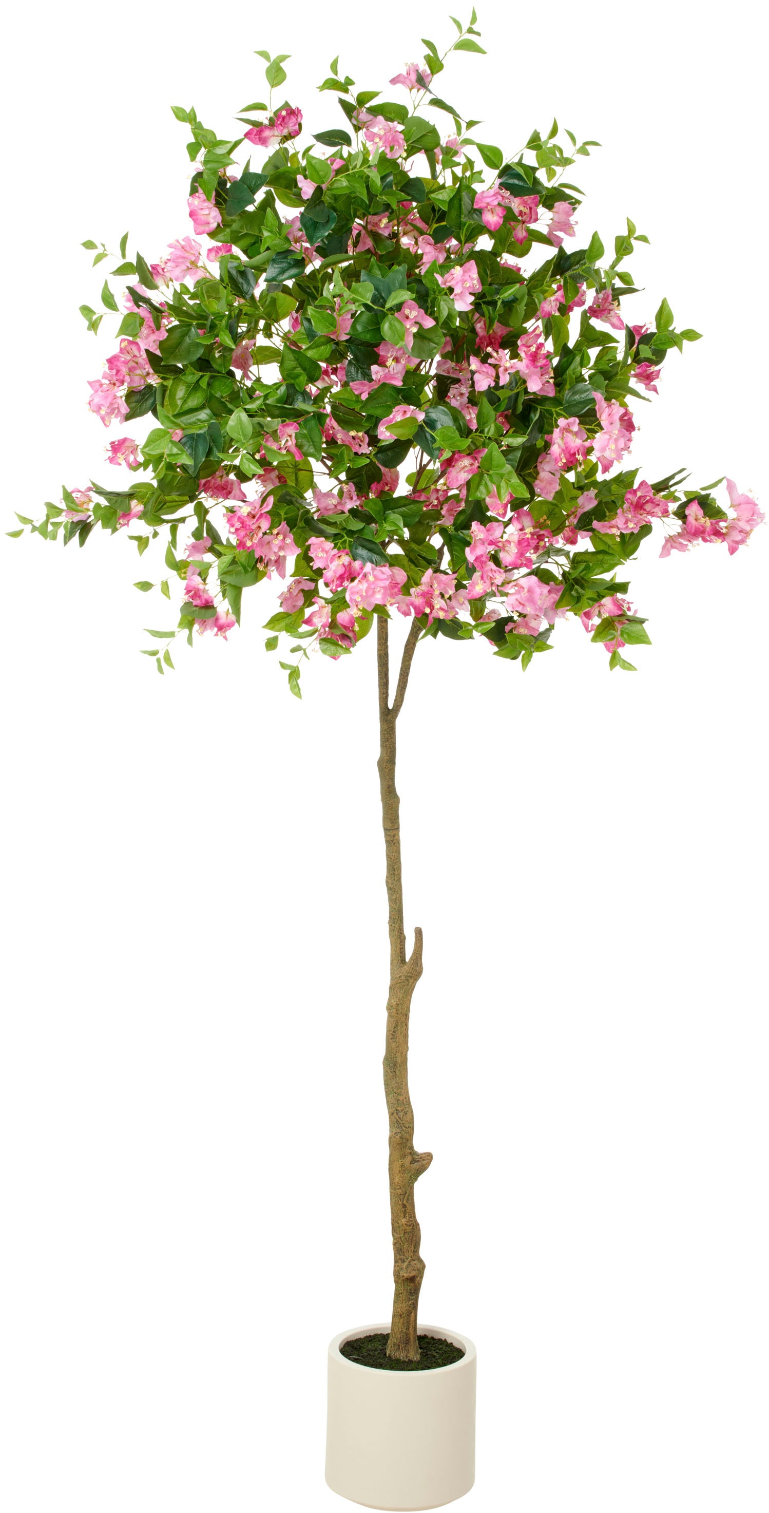 Creativ green Kunstbaum »Bougainvillea«, mit zahlreichen Blüten günstig online kaufen