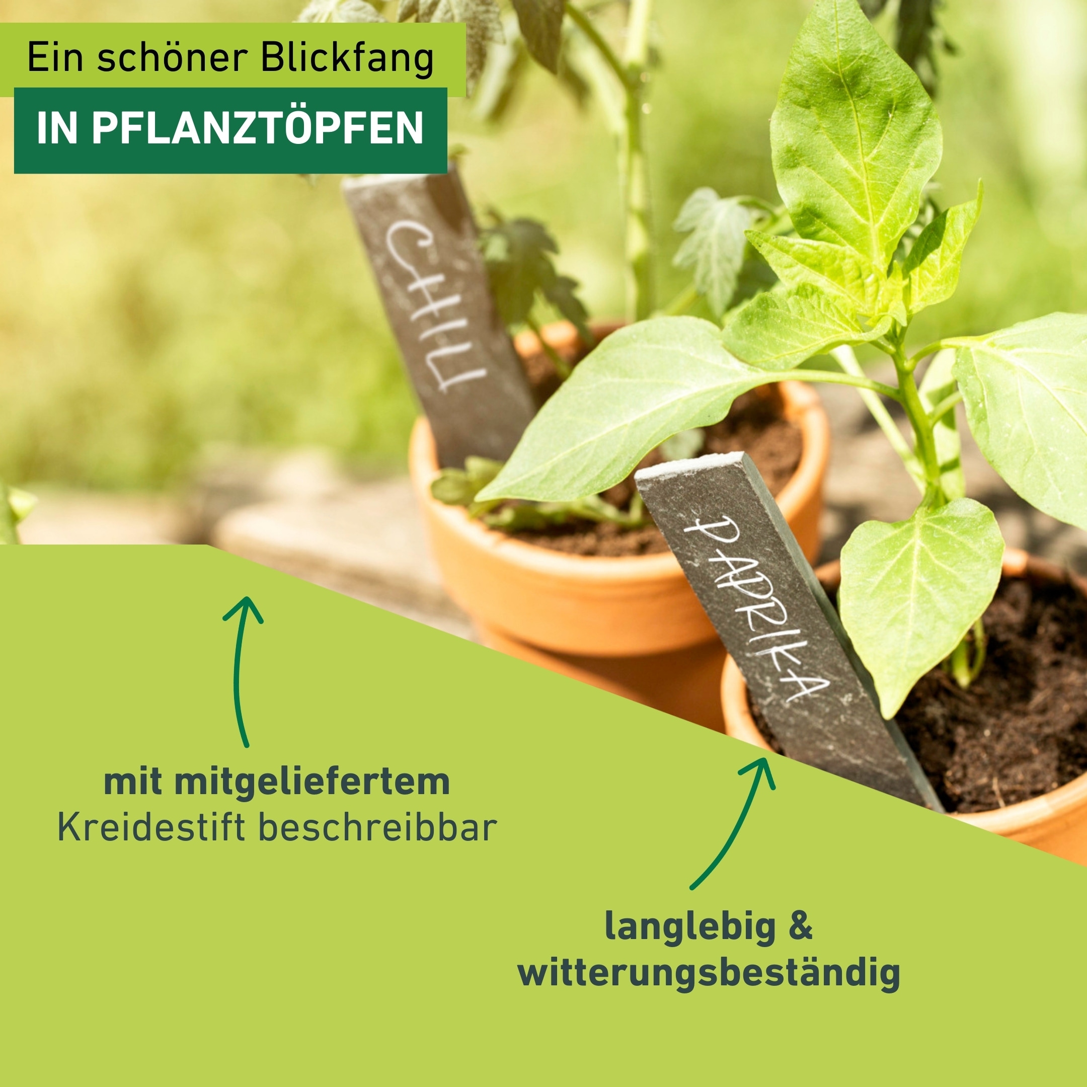 Windhager Gartenstecker »Pflanzenstecker aus Schieferschilder, Stecketiketten und Gartendeko« ideal für Beschriftung im Gemüse und Kräuterbeet, 8 Stück + 1 Kreide
