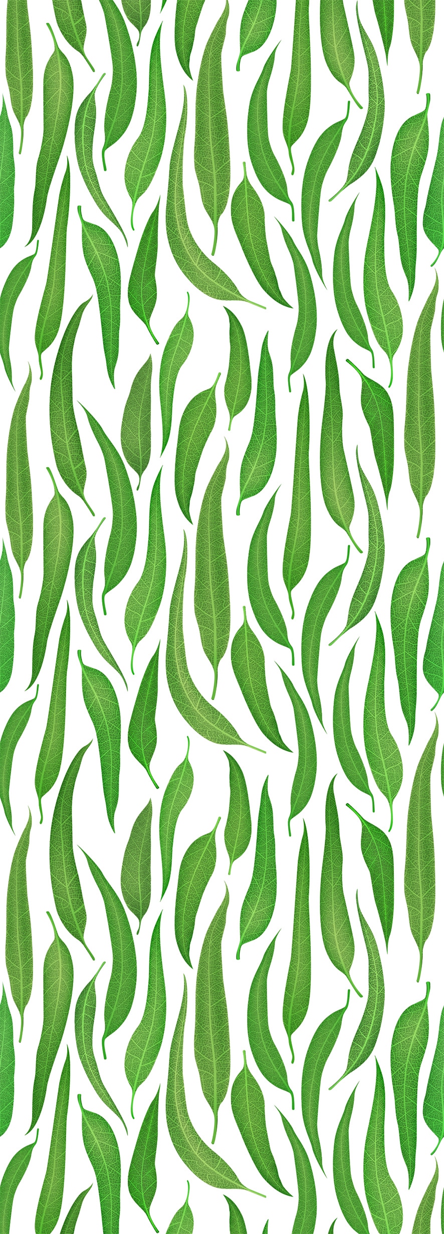 queence Vinyltapete »Weiden Blätter«, 90 x 250 cm, selbstklebend günstig online kaufen