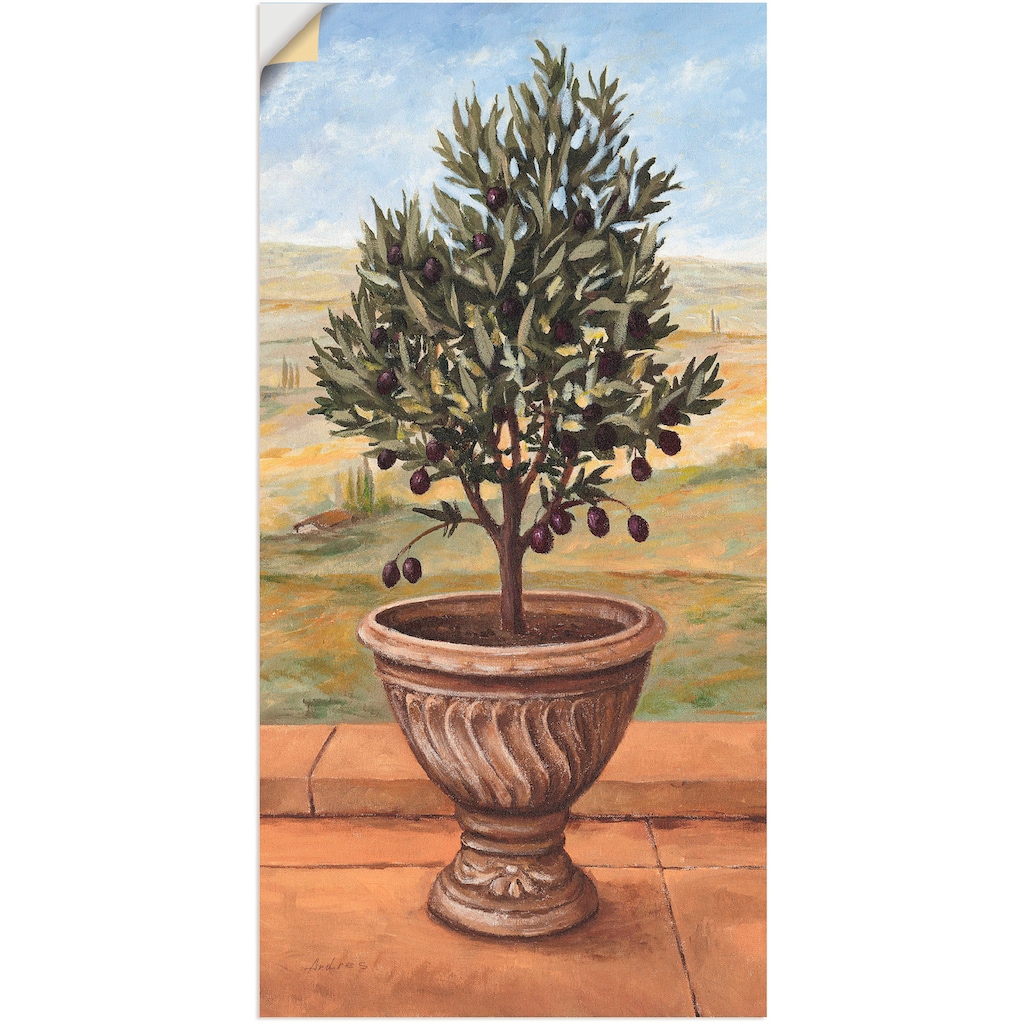 Artland Wandbild »Olivenbaum«, Pflanzen, (1 St.)