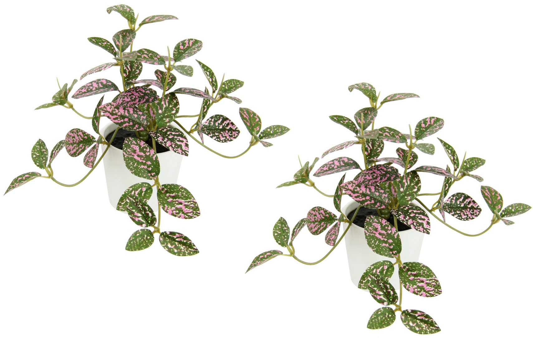 I.GE.A. Kunstpflanze »Künstliche Zimmerpflanze mini Aucuba im Topf Pflanze«, Seidenblumen Hängepflanzen rankende Blattpflanze hängend Grünpflanzen