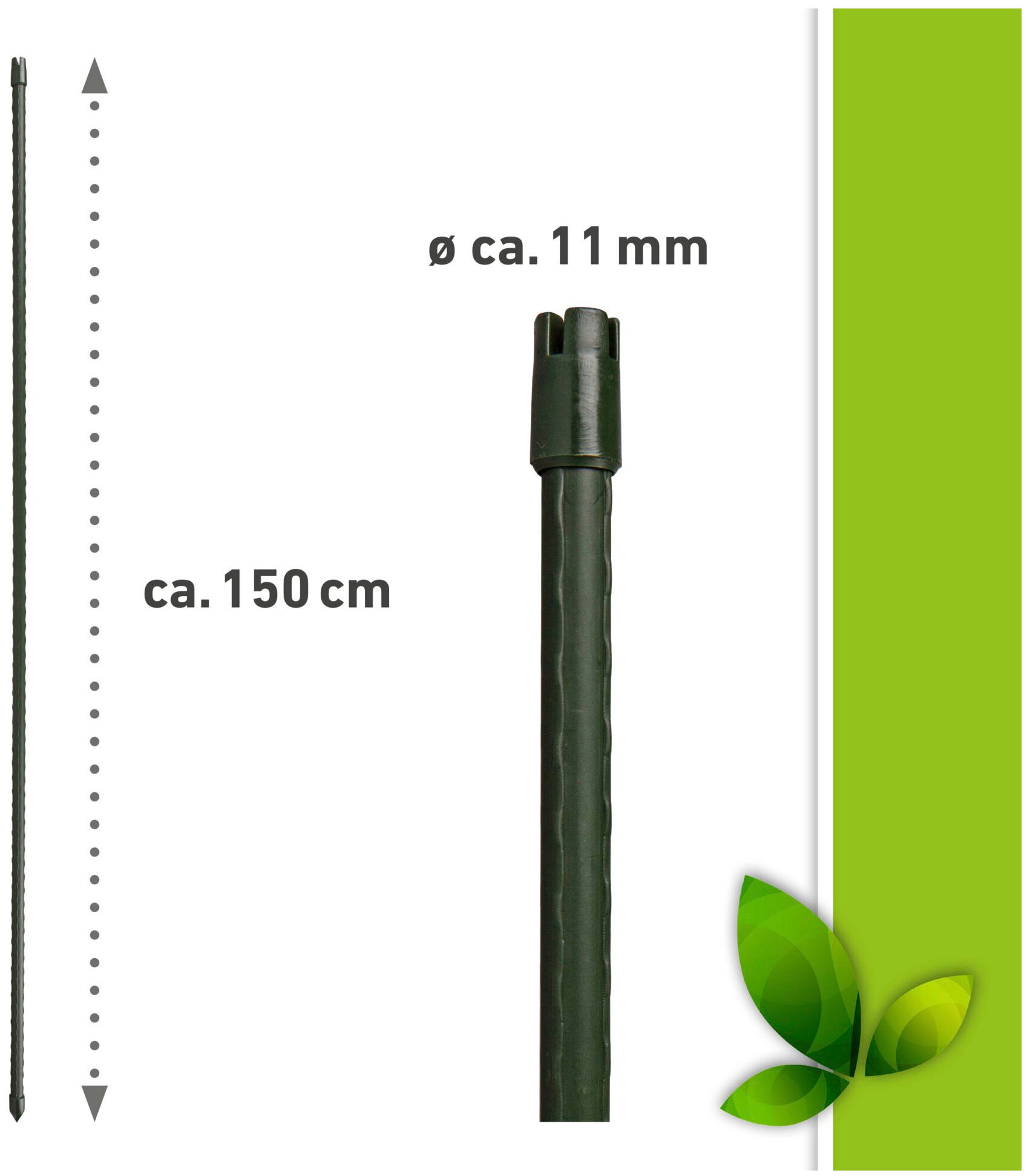Windhager Rankhilfe, (Set, 10 St.), Tomatenstäbe, grün, H: 150 cm