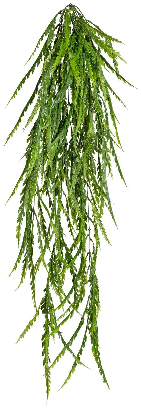 Creativ green Kunstranke »Asplenium-Hänger«, (1 St.) kaufen