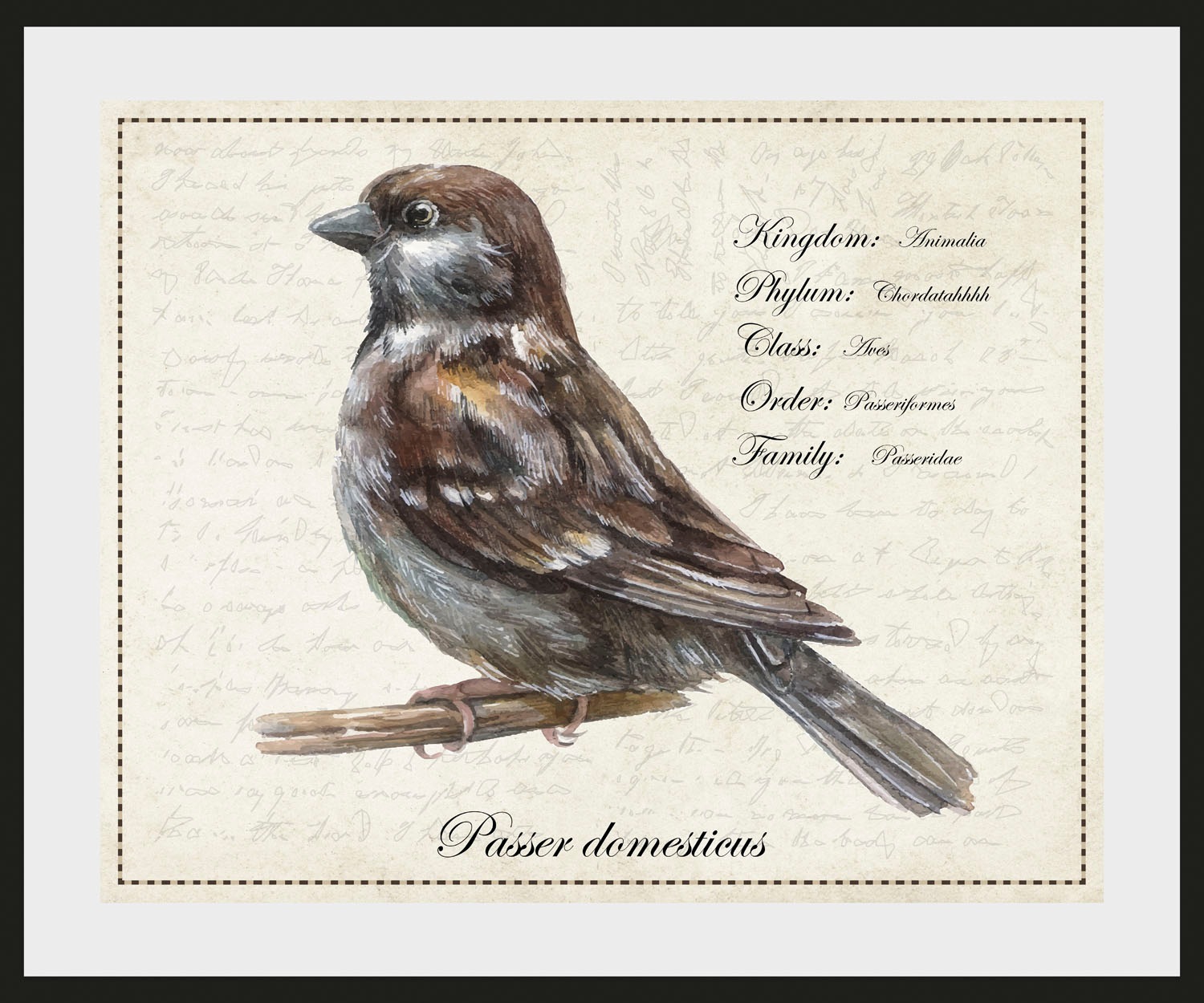 queence Bild »Passer domesticus«, Vögel-Vogelbilder-historische Ereignisse- günstig online kaufen