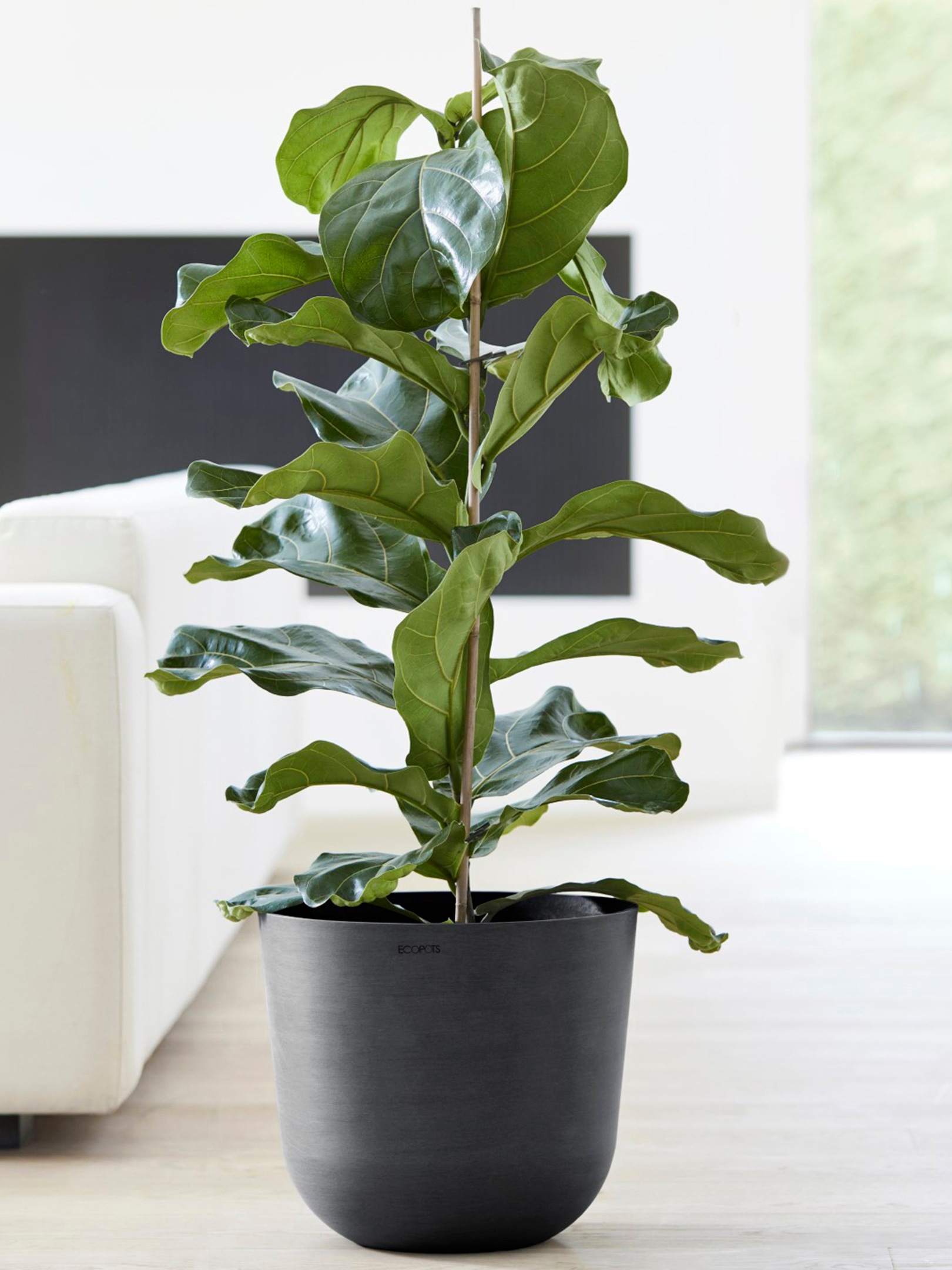 ECOPOTS Blumentopf »Oslo 35 Dunkelgrau«, für innen und außen: frostsicher, bruchsicher und lichtbeständig