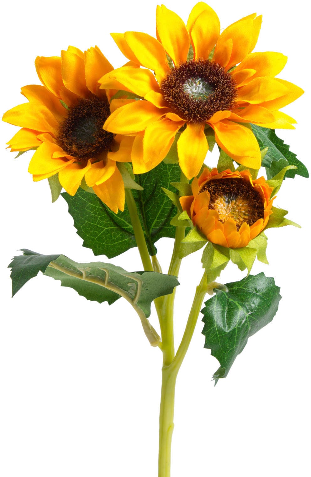 Botanic-Haus Kunstblume »Sonnenblume« Raten bestellen auf