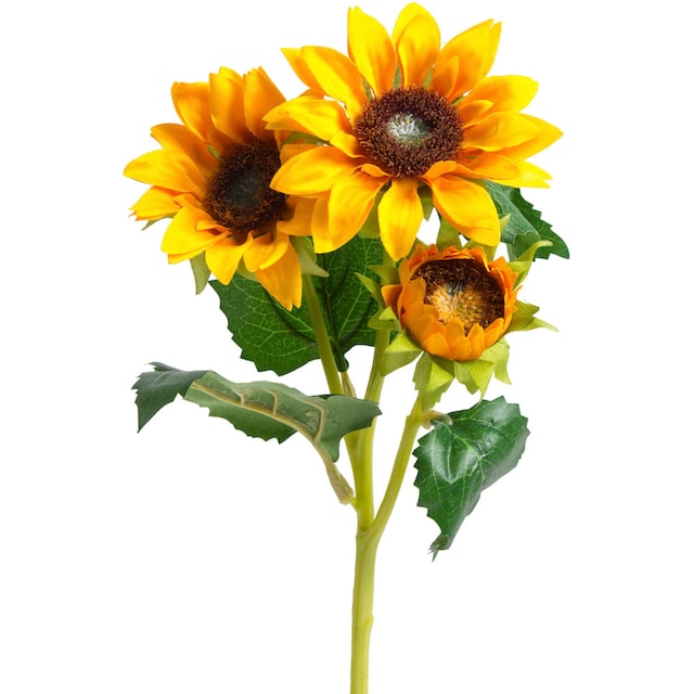 Botanic-Haus Kunstblume »Sonnenblume« auf Raten bestellen