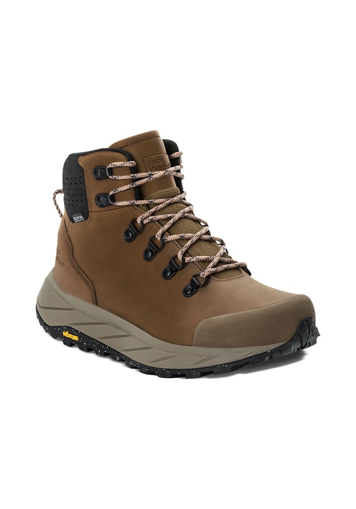 Jack Wolfskin Wanderschuh »TERRAQUEST X TEXAPORE MID W«