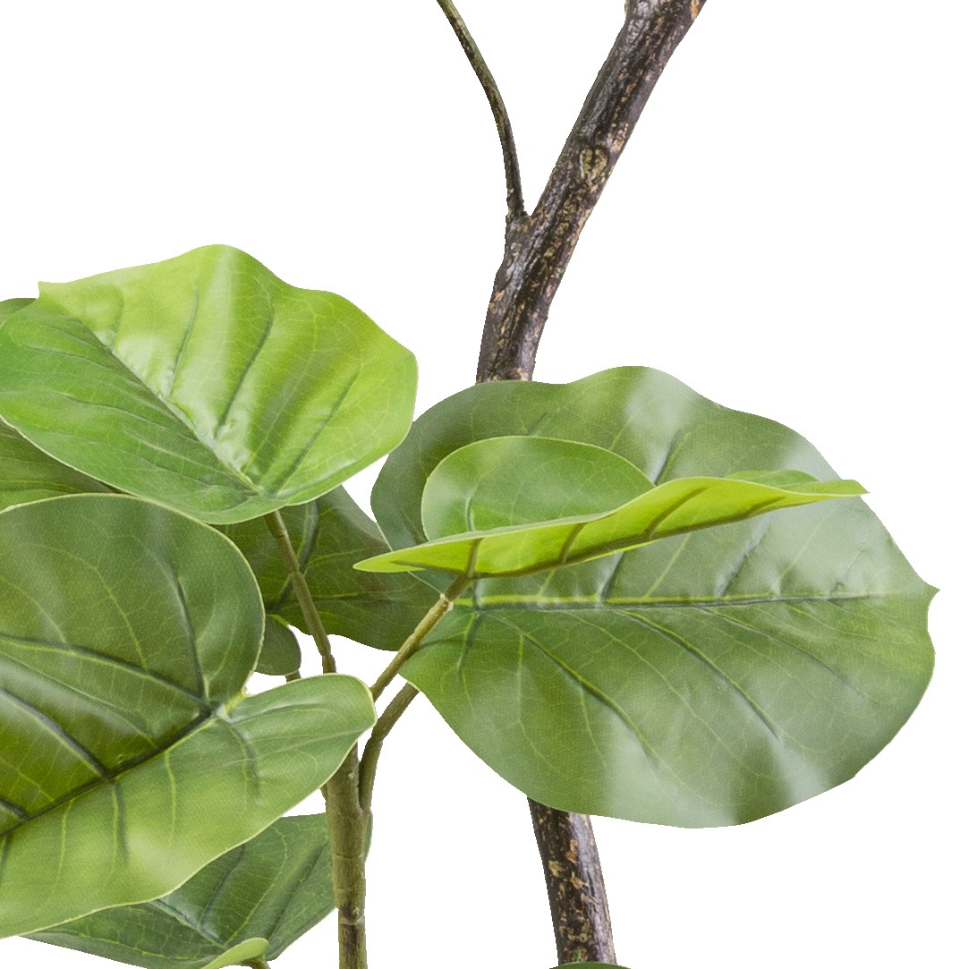 Creativ green Kunstpflanze »Ficus umbellata« mit tollem Blattwerk günstig online kaufen