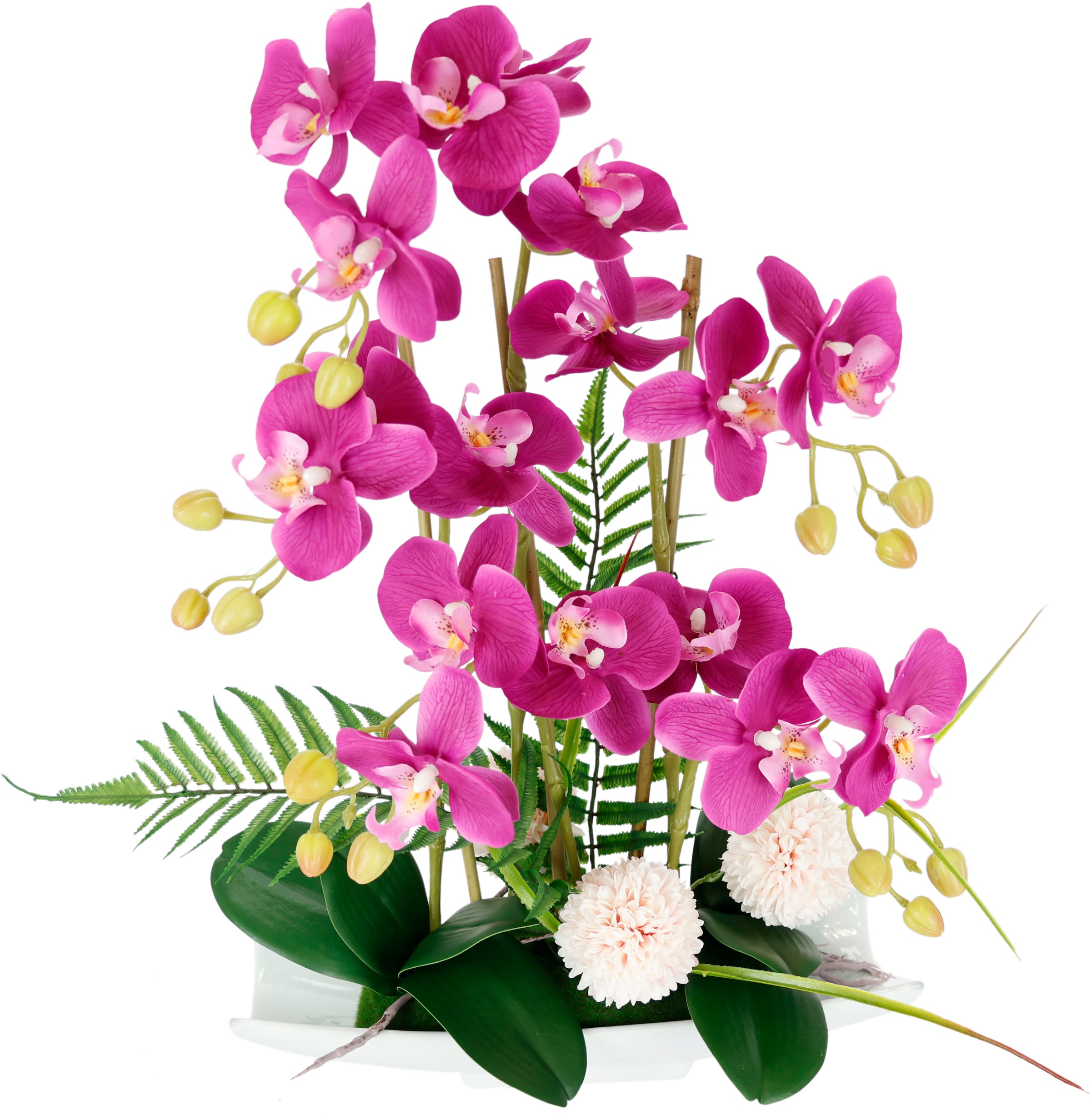 I.GE.A. Kunstblume »Orchideen« günstig online kaufen