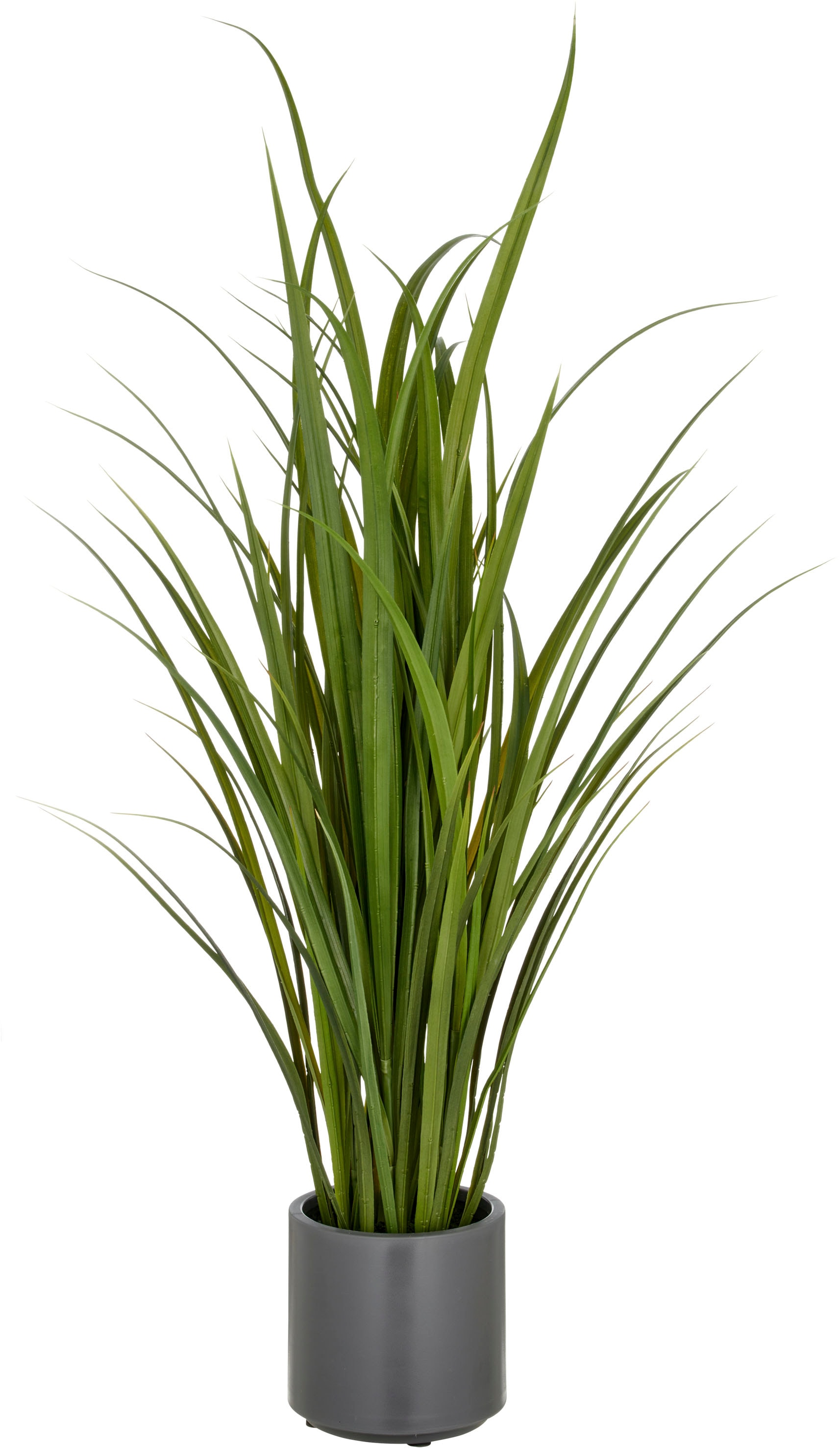 Creativ green Kunstgras »Grasbusch Miscanthus«, im eleganten Topf günstig online kaufen