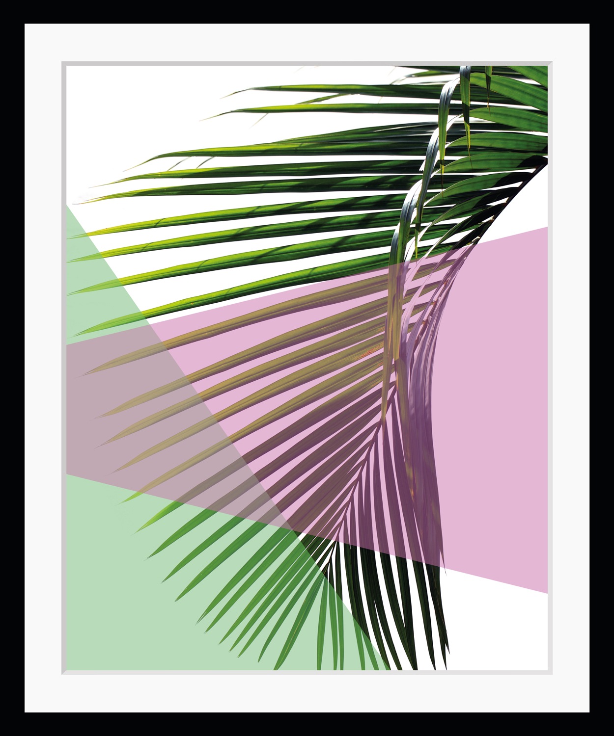 queence Bild »Philipp«, Blätter-Blumen-Kunst-Abstrakt-Figuren, HD Premium P günstig online kaufen