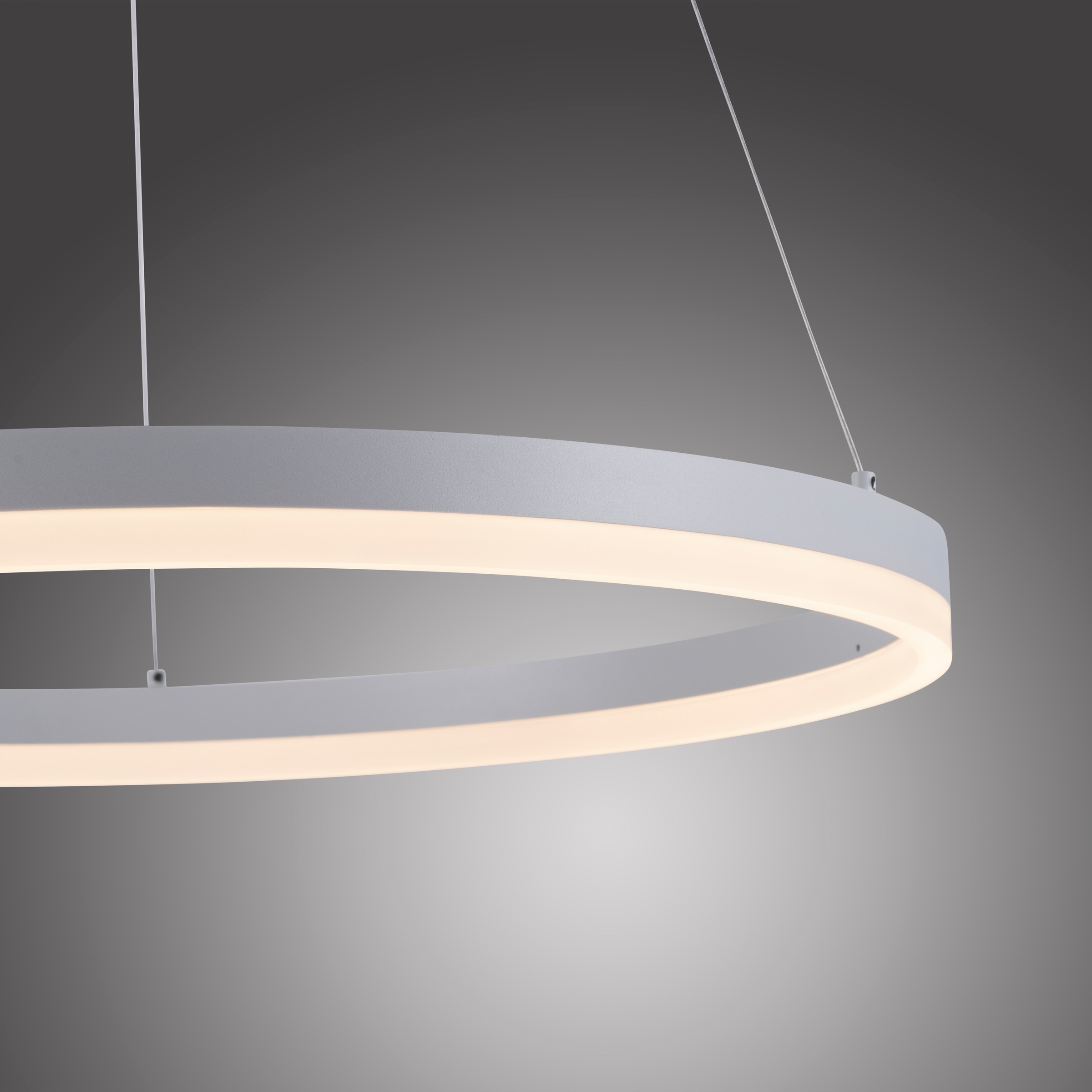 Paul Neuhaus Pendelleuchte »TITUS«, 1 flammig, Leuchtmittel LED-Board   LED günstig online kaufen