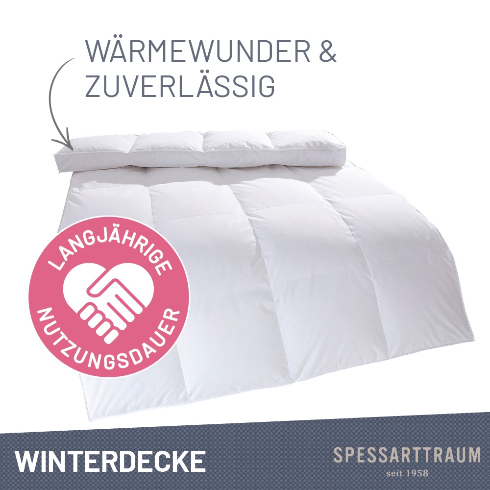 SPESSARTTRAUM Daunenbettdecke »Laax Bettdecke 135x200, 155x220 cm und viele günstig online kaufen