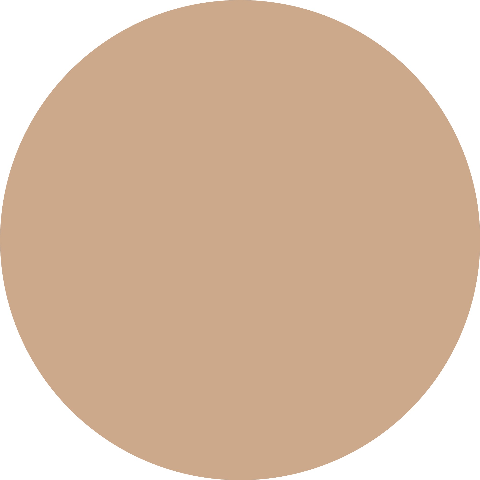 Essence Foundation »Silky BLUR HYDRATING LONGWEAR FOUNDATION«