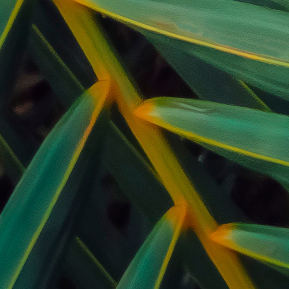 Komar Fototapete »Digitaldruck Vlies - Amazon Fern - Größe 400 x 250 cm«, bedruckt, Wohnzimmer, Schlafzimmer