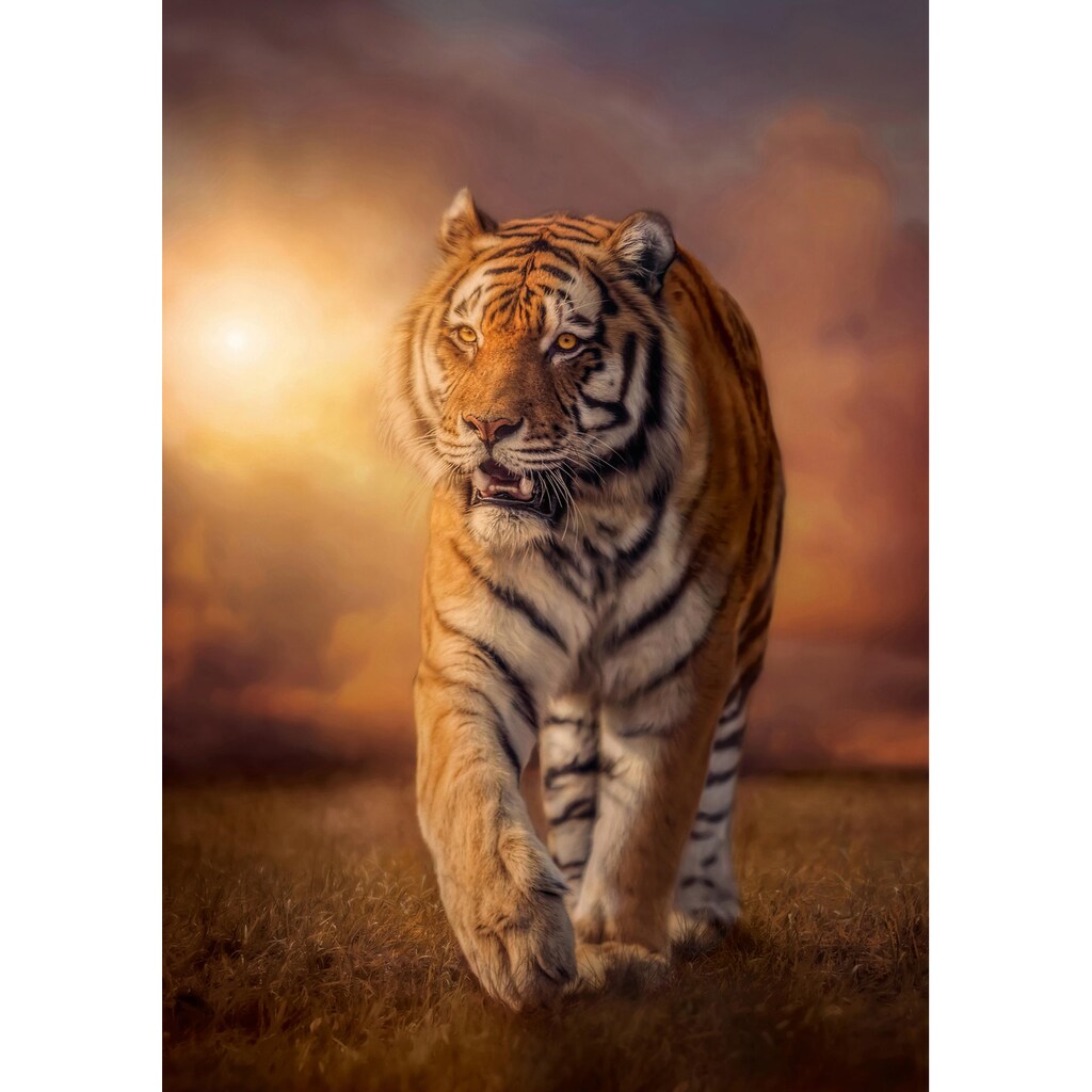 Clementoni® Puzzle »High Quality Collection, Tiger«