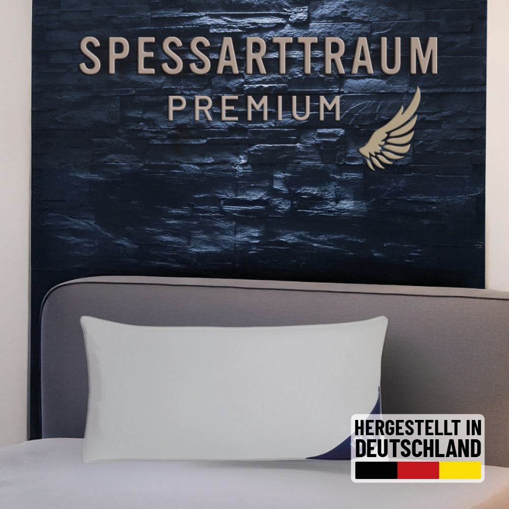 SPESSARTTRAUM Gänsedaunenkopfkissen »Premium«, Füllung: 90% Gänsedaunen / 1 günstig online kaufen