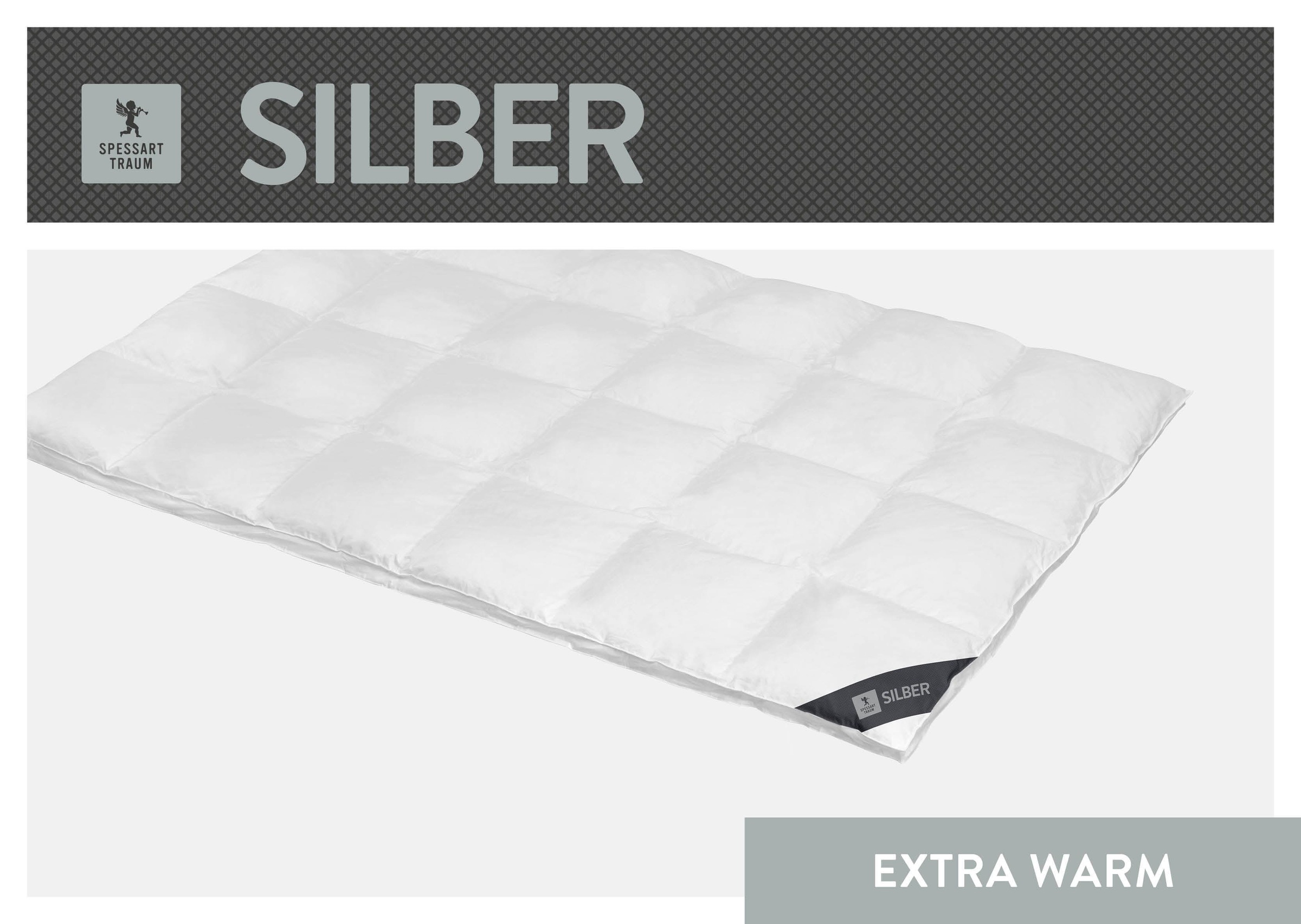 SPESSARTTRAUM Daunenbettdecke »Silber«, extrawarm, Füllung 100% Daunen, Bez günstig online kaufen