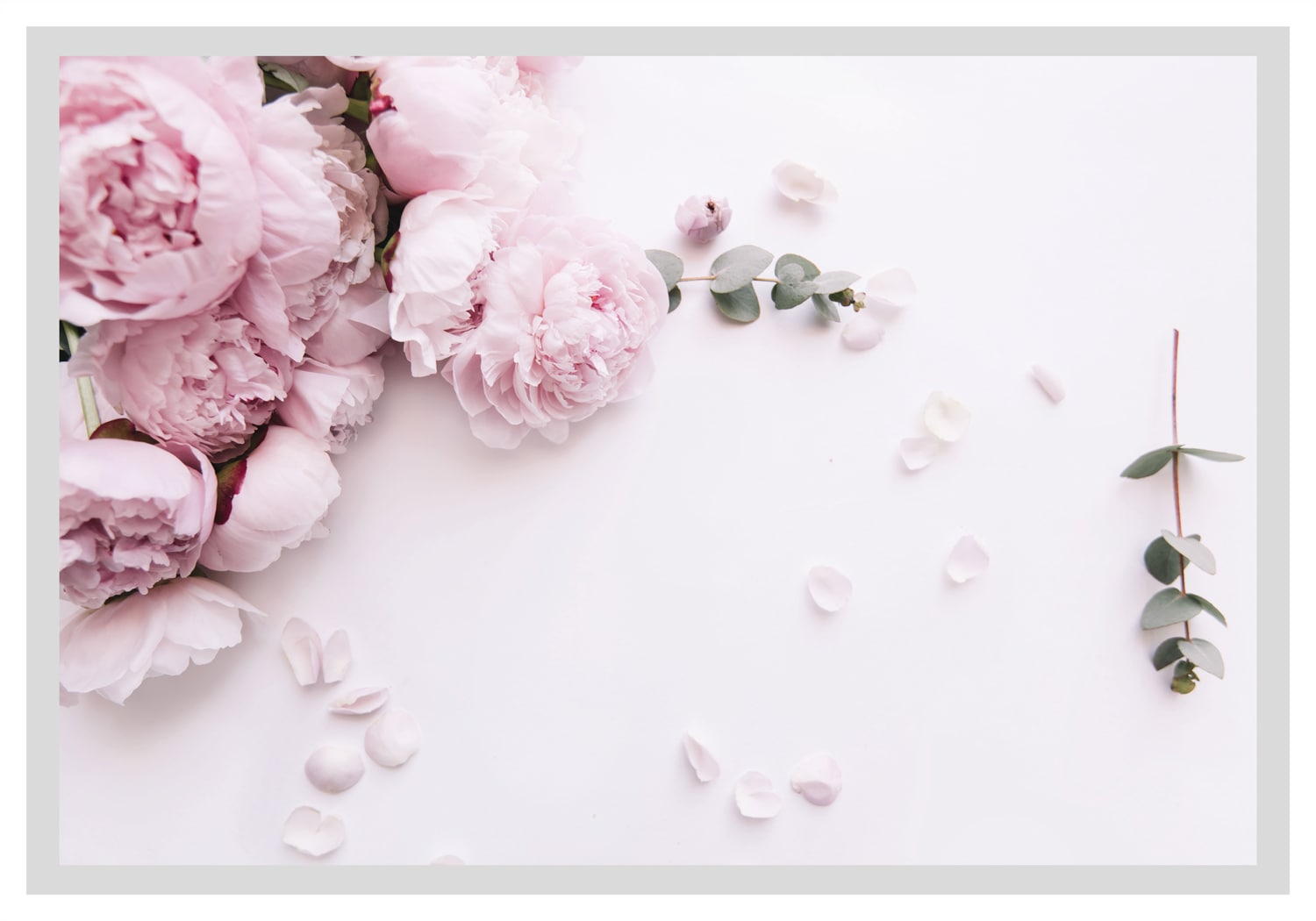 queence Bild »Grete«, Blumen, Rosen, gerahmt