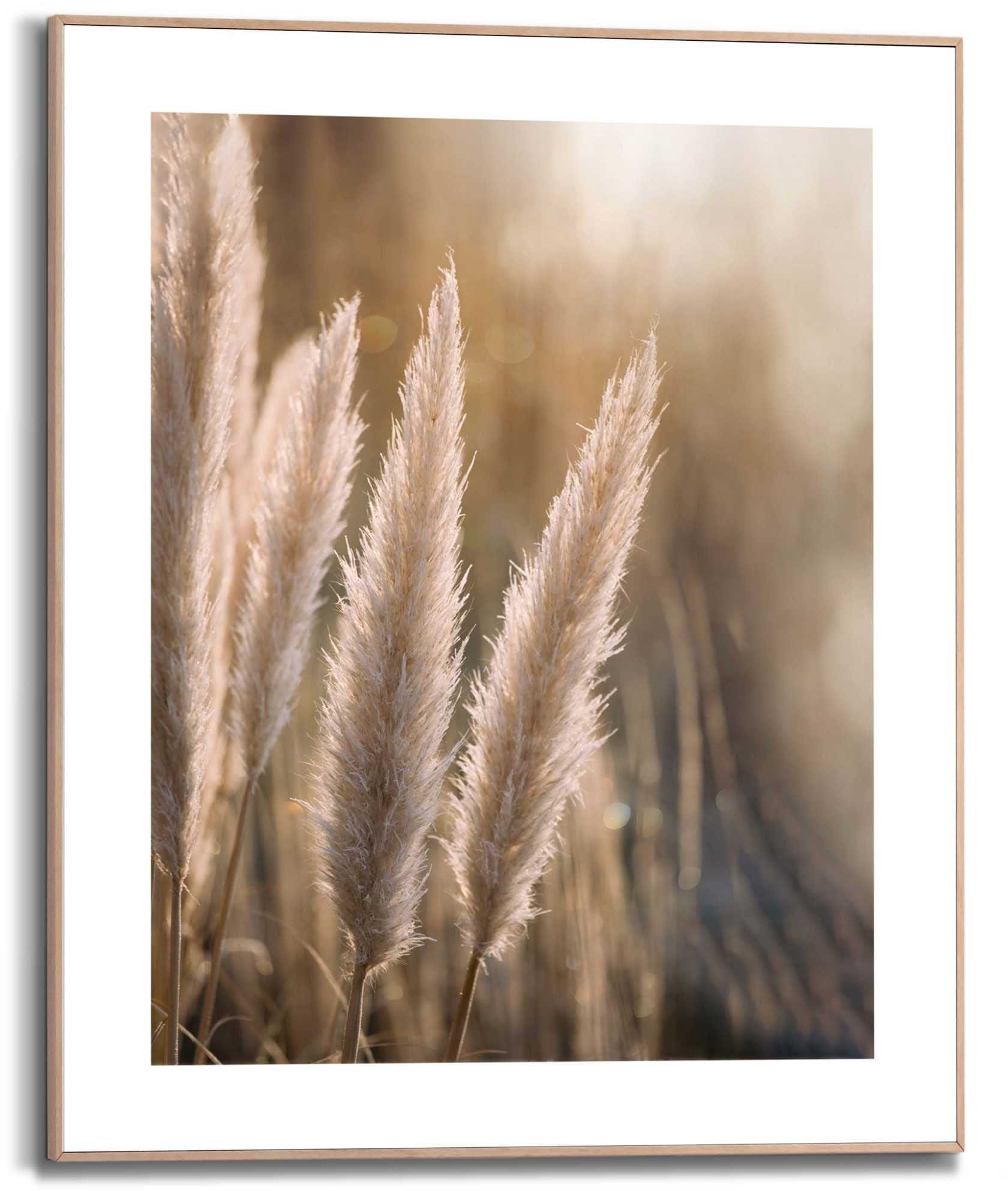 Kunstdruck »Pampas«