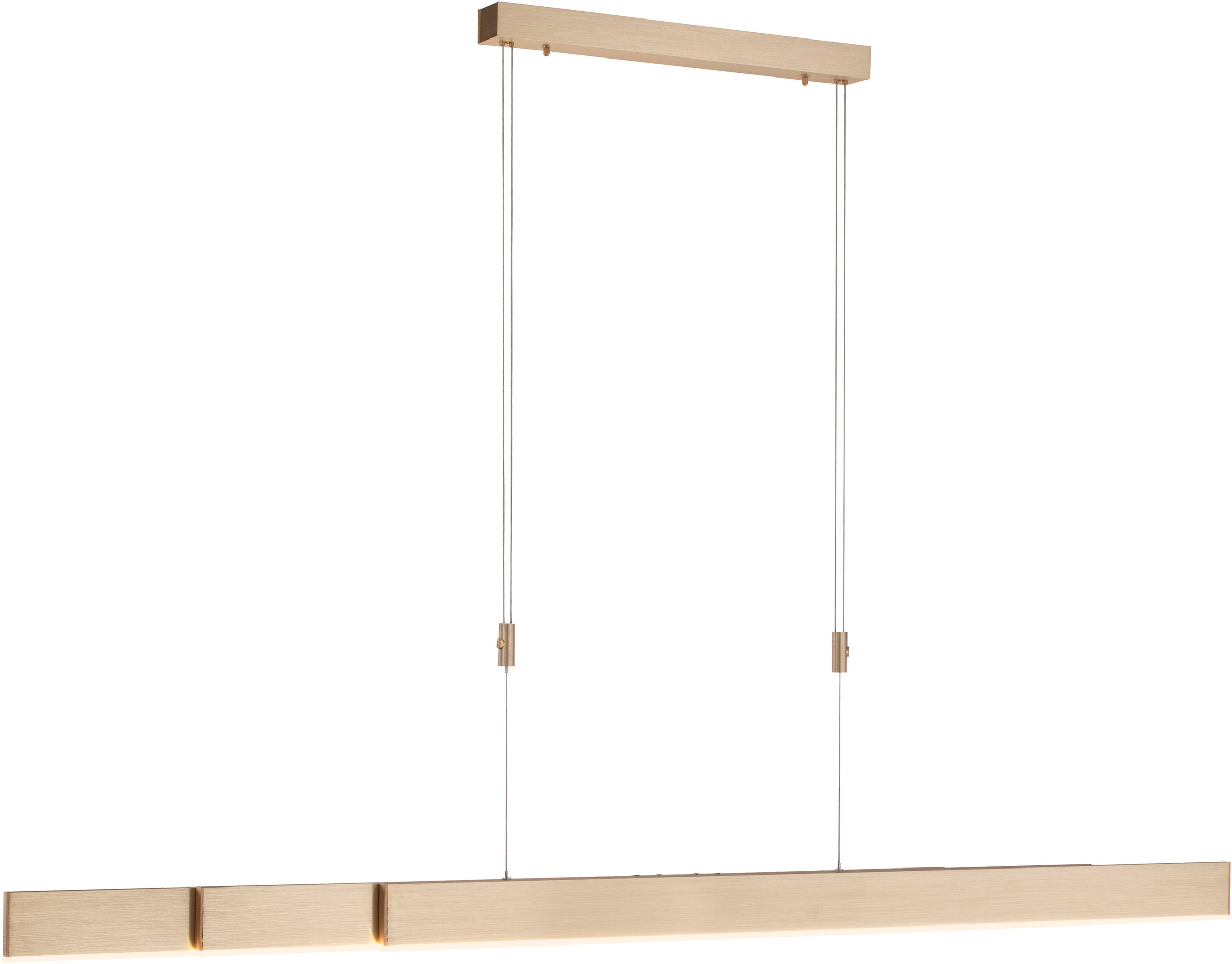 Neuhaus PURE LED Pendelleuchte »PURE Moto« LED-Board 1 Stk. warmweiß - kaltweiß e-SLIDE® Funktion, CCT, dimmbar, Fernbedienung