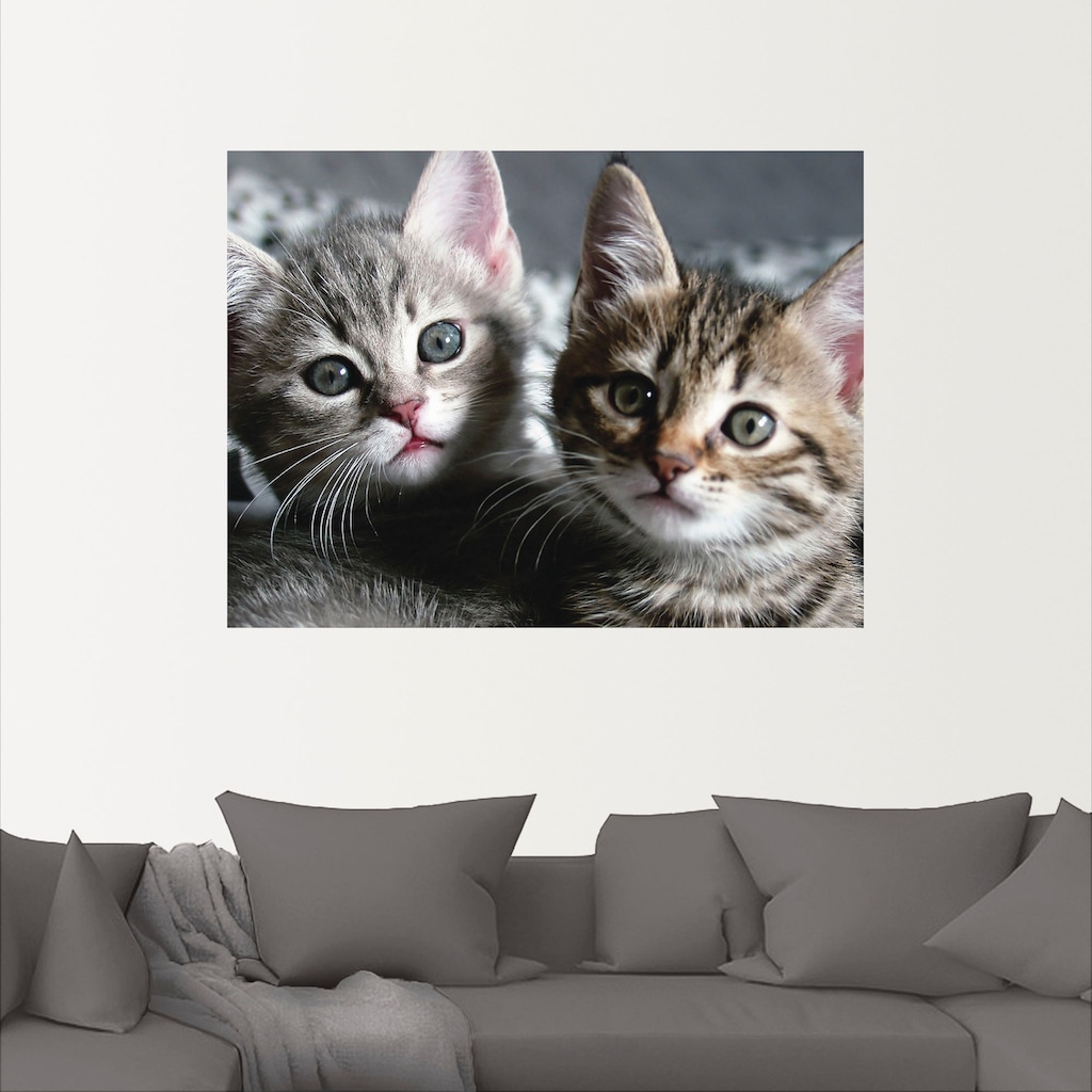 Artland Wandbild »Katze«, Haustiere, (1 St.)