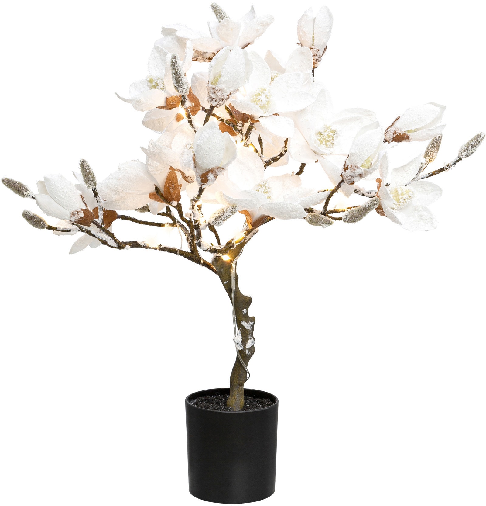 Creativ deco LED Baum »Magnolie«, mit beschneit, Höhe flammig-flammig, 25 kaufen online 58 LEDs cm, ca. 20