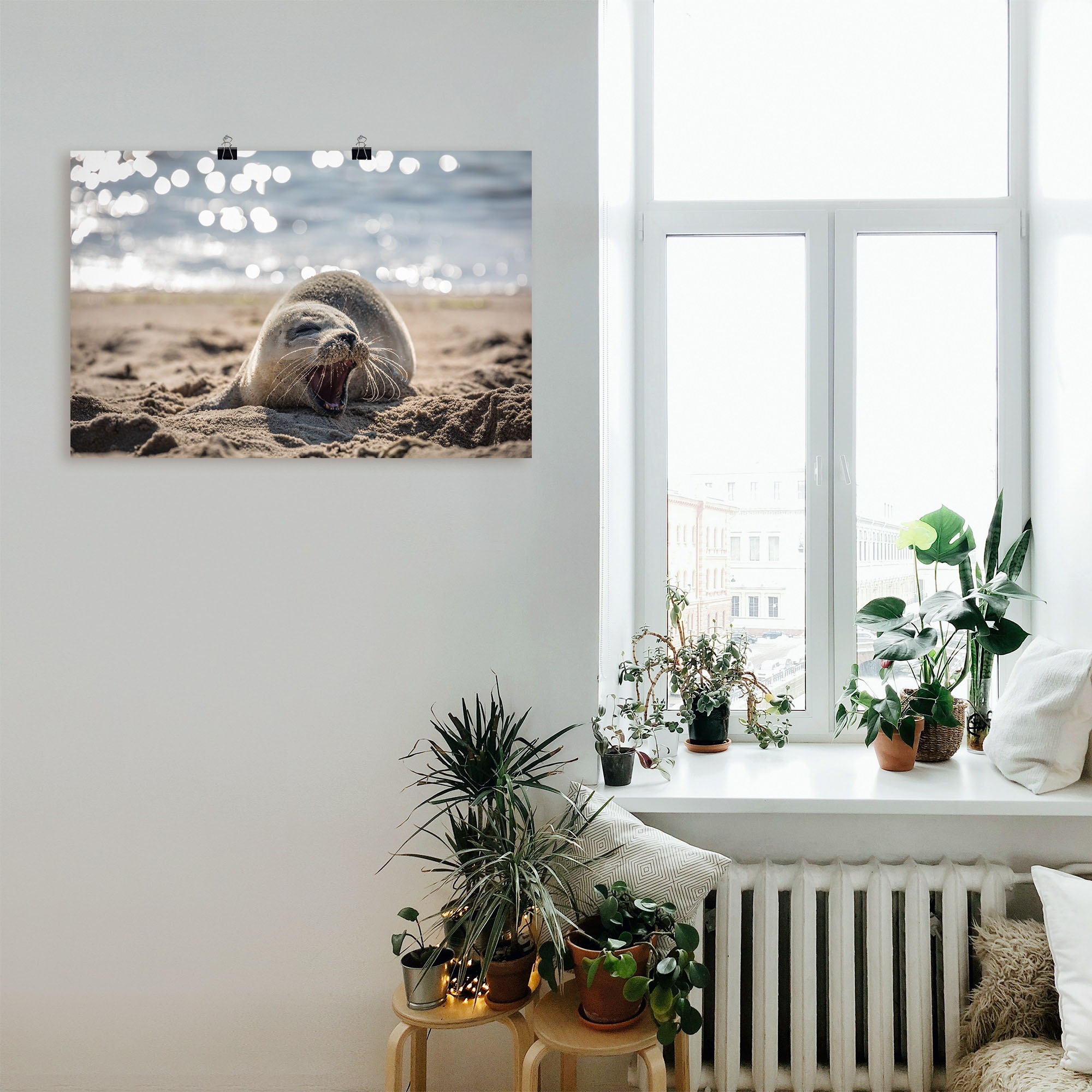 Artland Wandbild »Baby-Robbe am Strand von List, Sylt«, Robben, (1 St.), al günstig online kaufen