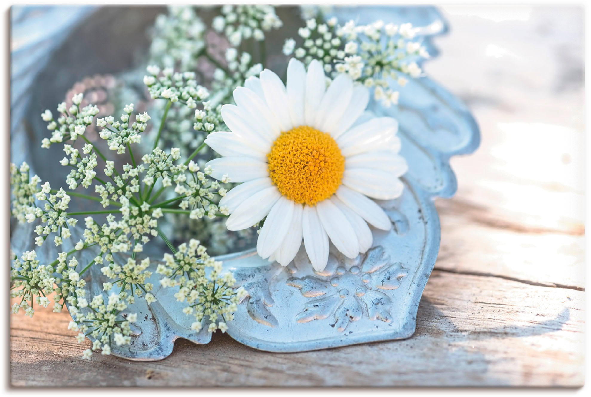 Artland Leinwandbild »Zarte Margeriten Blüte« Blumen 1 Stk. tlg. auf Keilra günstig online kaufen
