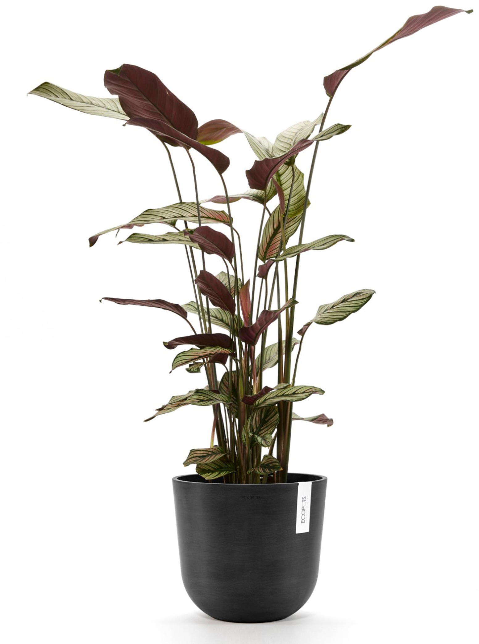 ECOPOTS Blumentopf »Oslo 25 Dunkelgrau«, für innen und außen: frostsicher, bruchsicher und lichtbeständig