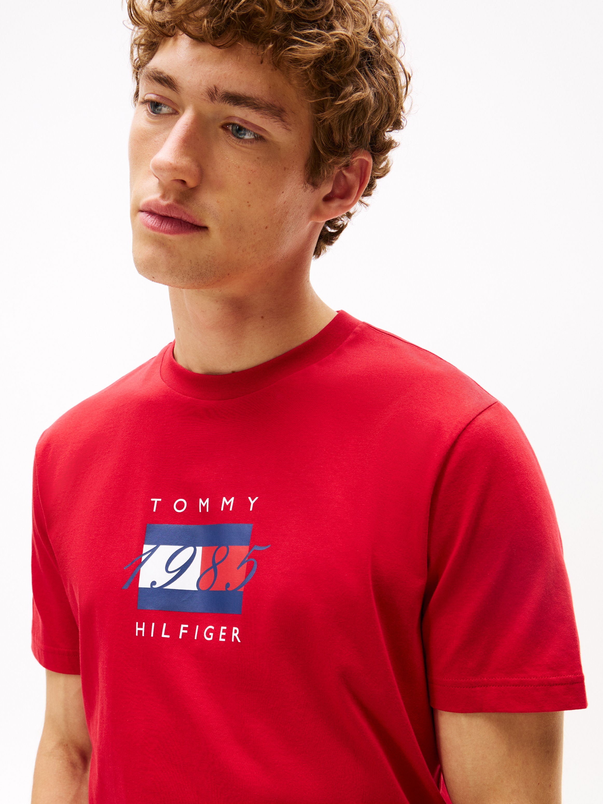 Tommy Hilfiger T-Shirt »LINEAR FLAG GRAPHIC« Rundhals, regular fit, Jersey