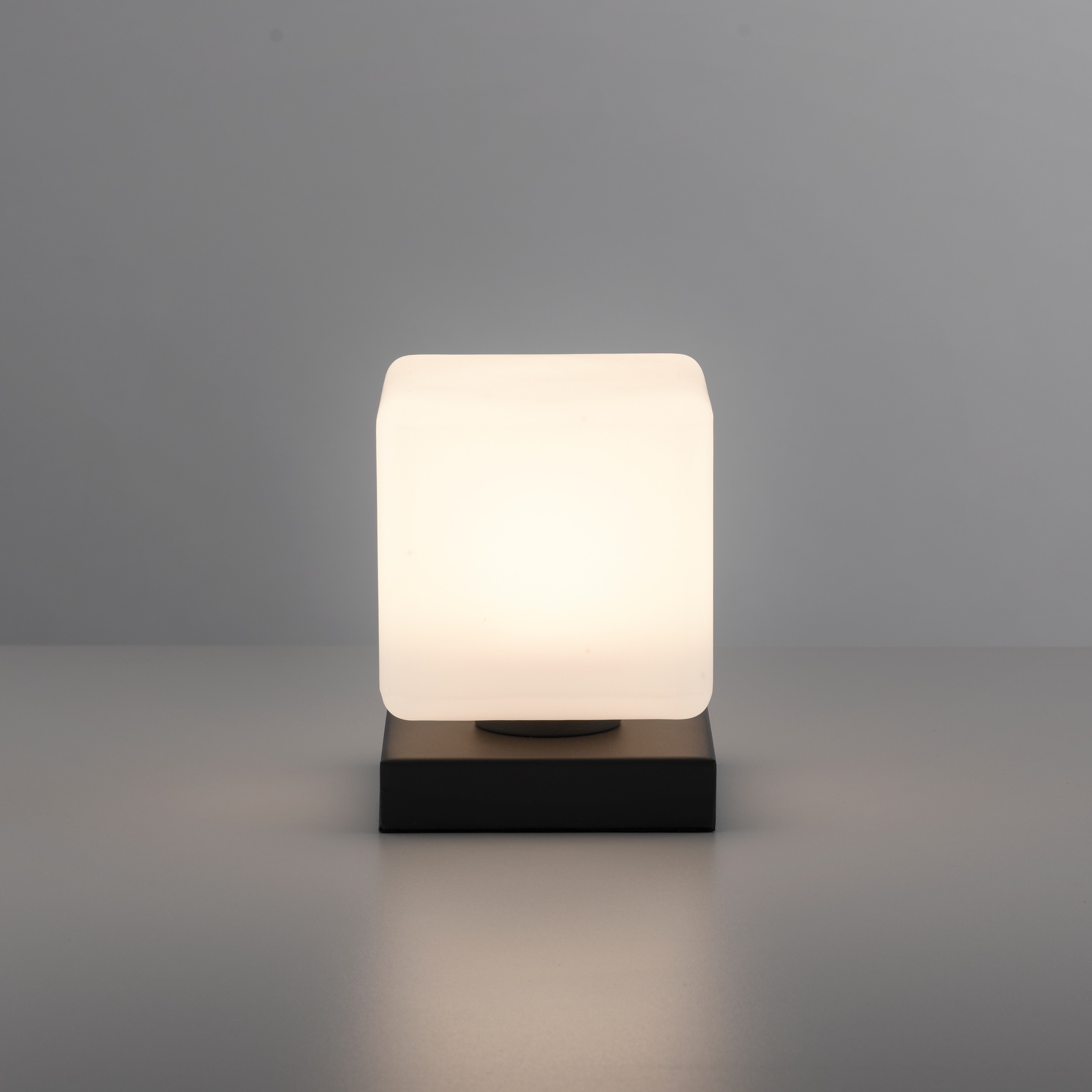 Paul Neuhaus Tischleuchte »DADOA« LED-Board 1 Stk. Warmweiß LED, dimmbar über Touchdimmer