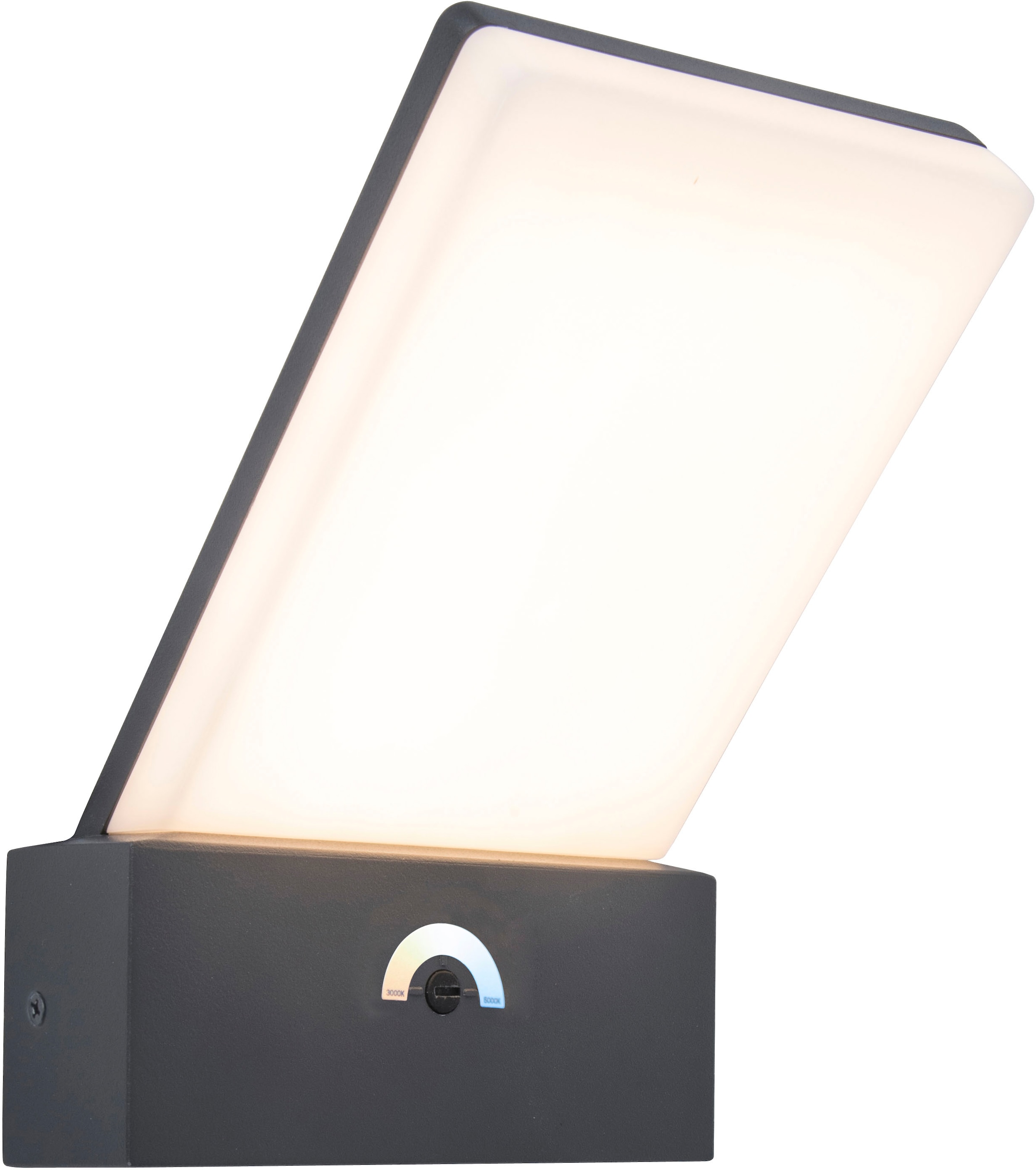 LUTEC LED Außen-Wandleuchte »PANO«, Leuchtmittel LED-Modul | LED fest integriert