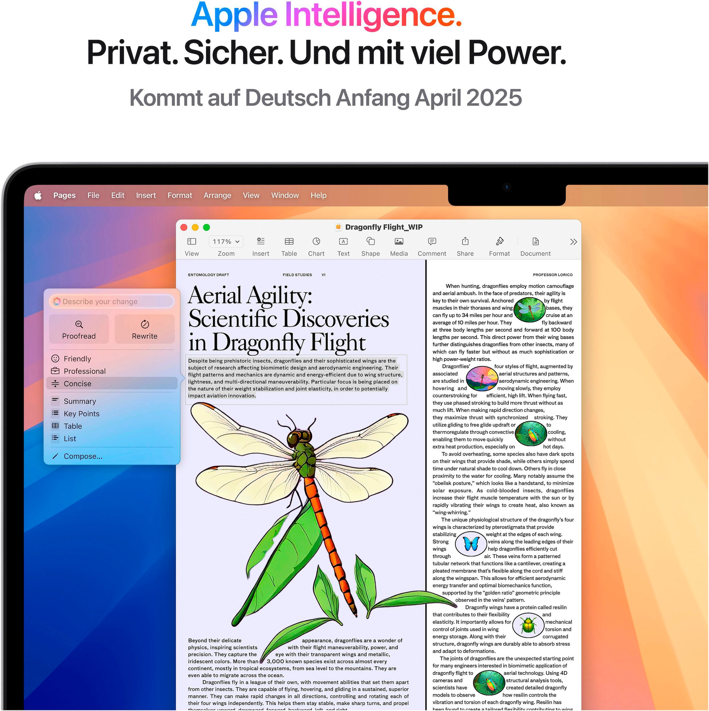 Apple Notebook »MacBook Air 13" CTO«, 34,46 cm, / 13,6 Zoll, Apple, M4, 10-Core GPU, 2000 GB SSD