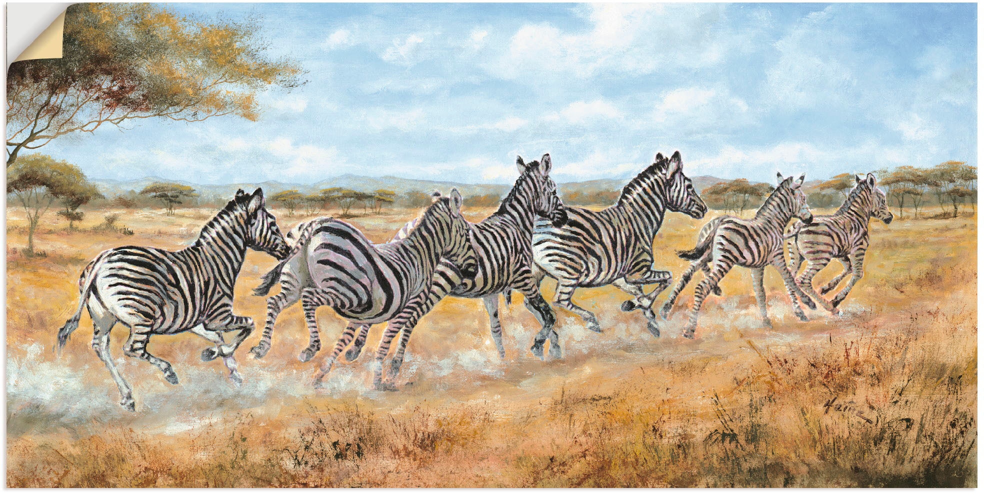 Artland Wandbild »Laufende Zebras«, Wildtiere, (1 St.), als Alubild, Leinwandbild,... kaufen