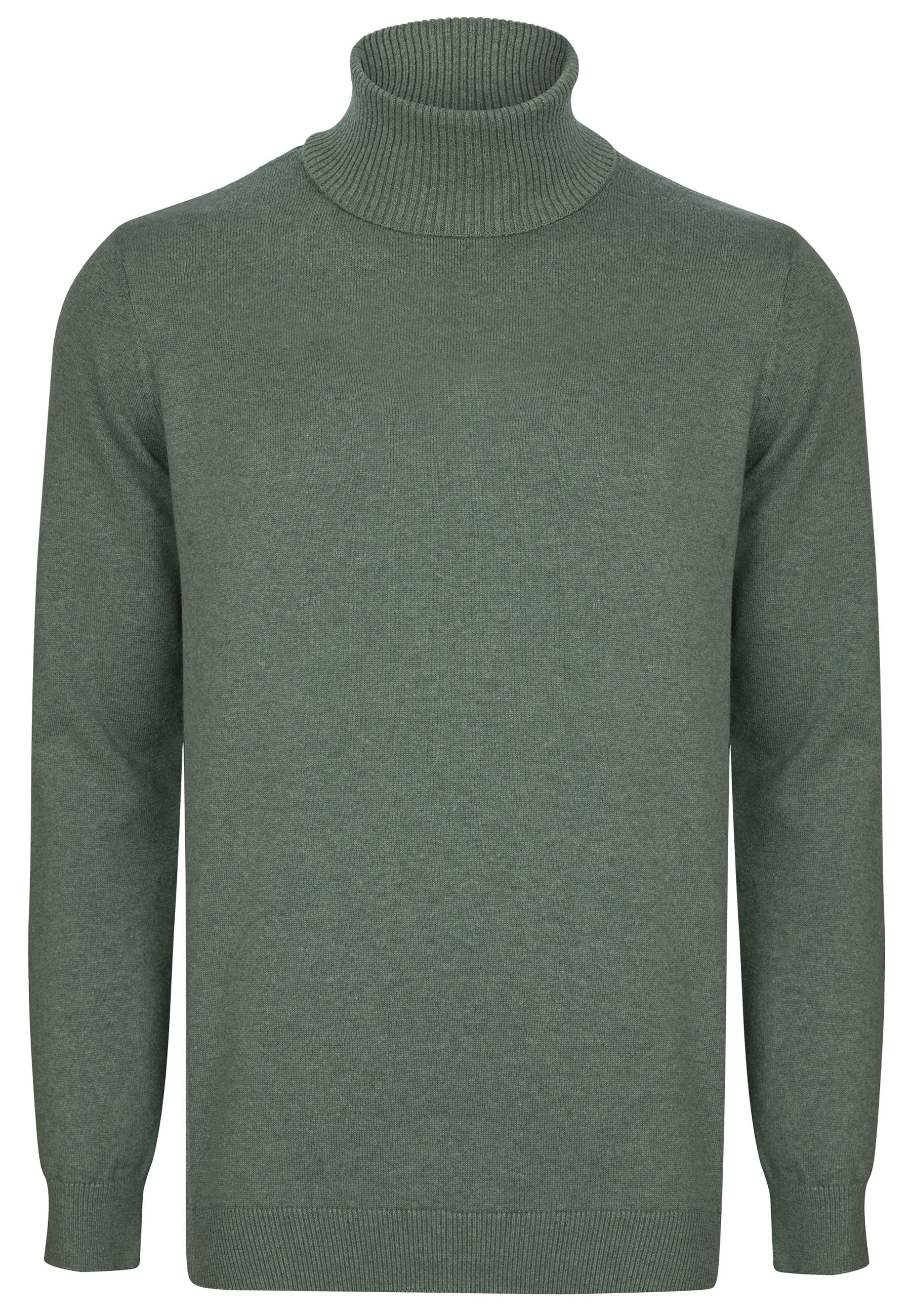 Felix Hardy Rollkragenpullover »Rollkragenpullover«