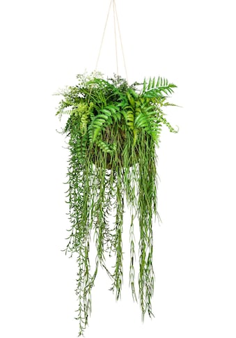 Creativ green Künstliche Zimmerpflanze »Dekokugel zum Hängen«, (1 St.) kaufen