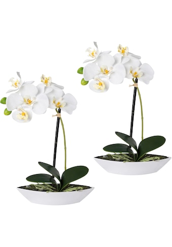 Creativ green Kunstorchidee »Phalaenopsis«, (2 St.), 2er Set, in Kunststoffschale kaufen