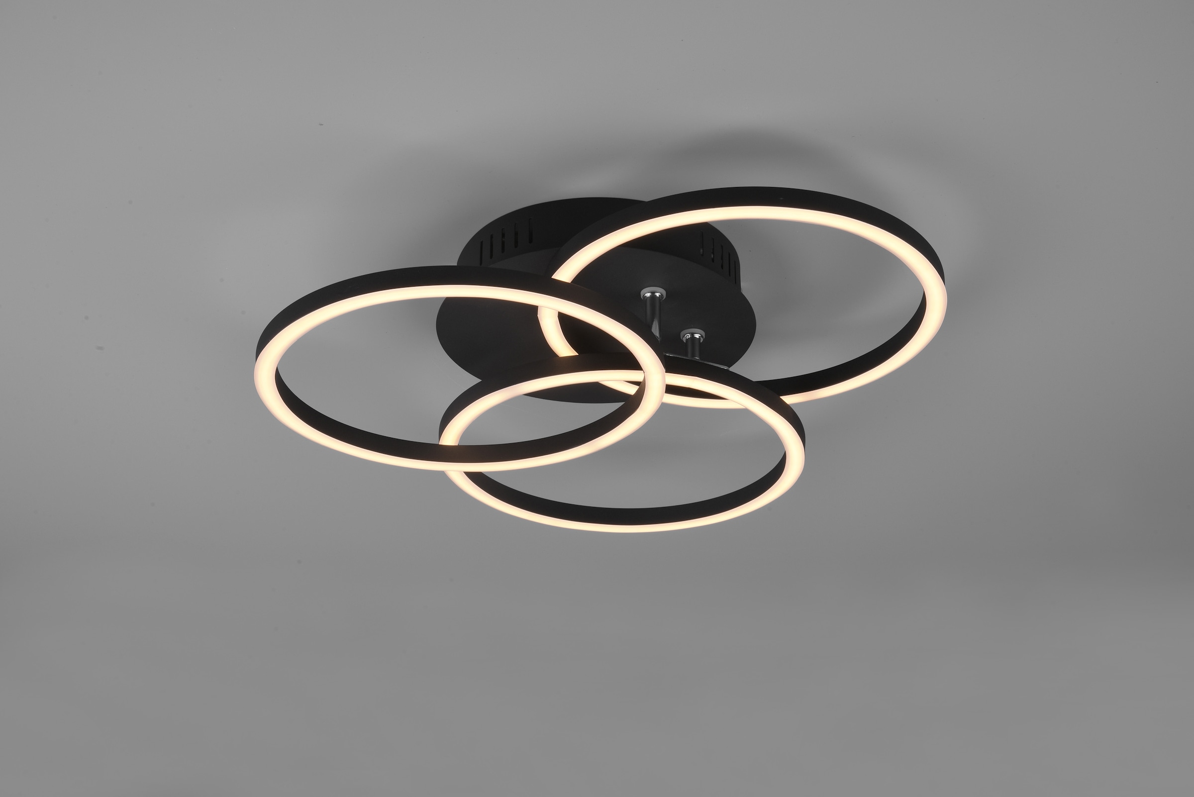TRIO schwarz matt schwenkbaren mit flammig-flammig, inkl. / kaufen Fernbedienung »Circle«, 1 Ringen Rechnung auf LED Deckenlampe Deckenleuchte Leuchten