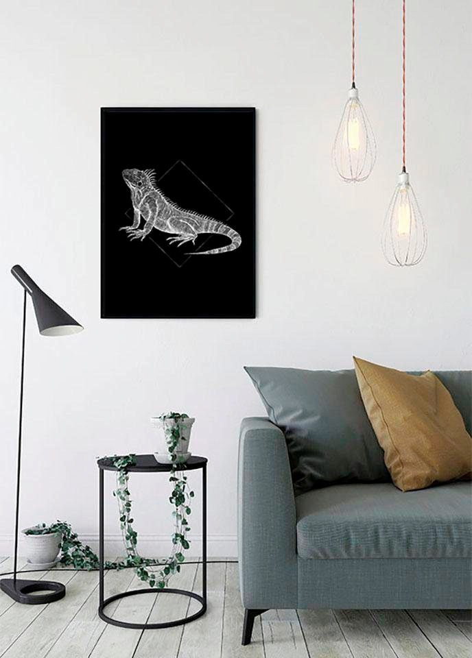 Komar Bild »Iguana Black«, Tiere, (1 St.), Wandbild zur Dekoration - ohne Rahmen