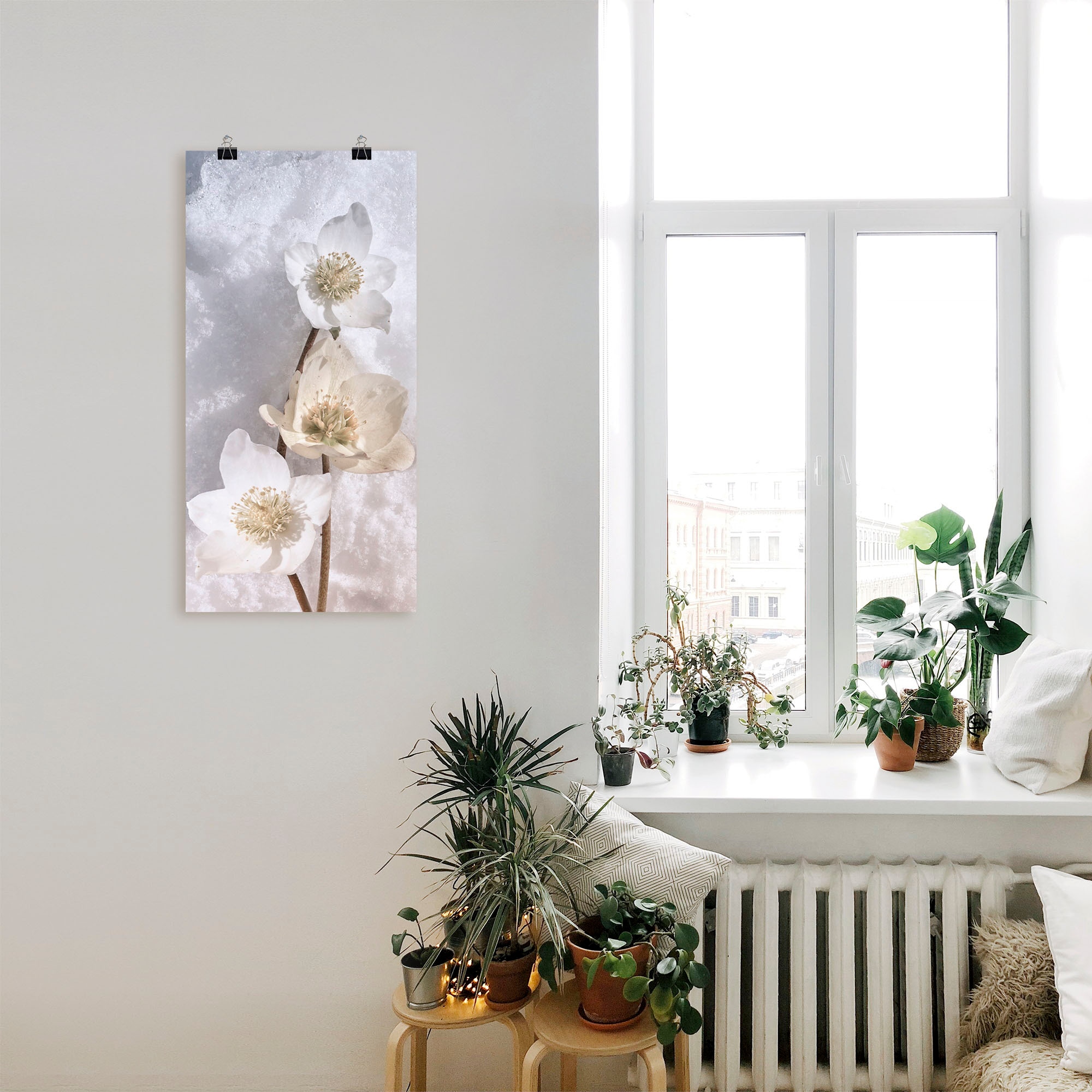 Artland Wandbild »Christrose im Schnee«, Blumen, (1 St.), als Leinwandbild, Poster in verschied. Größen