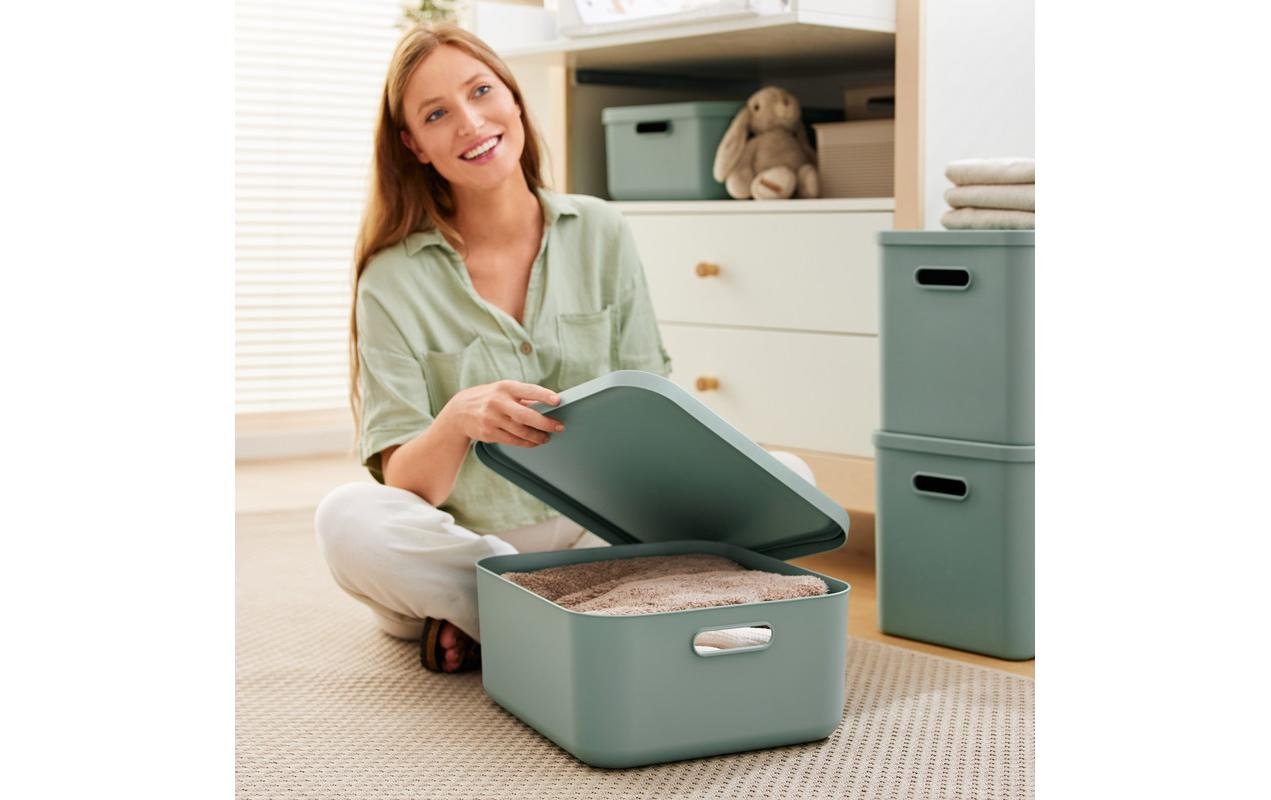Rotho Babydesign Aufbewahrungsbox »KAYO M«