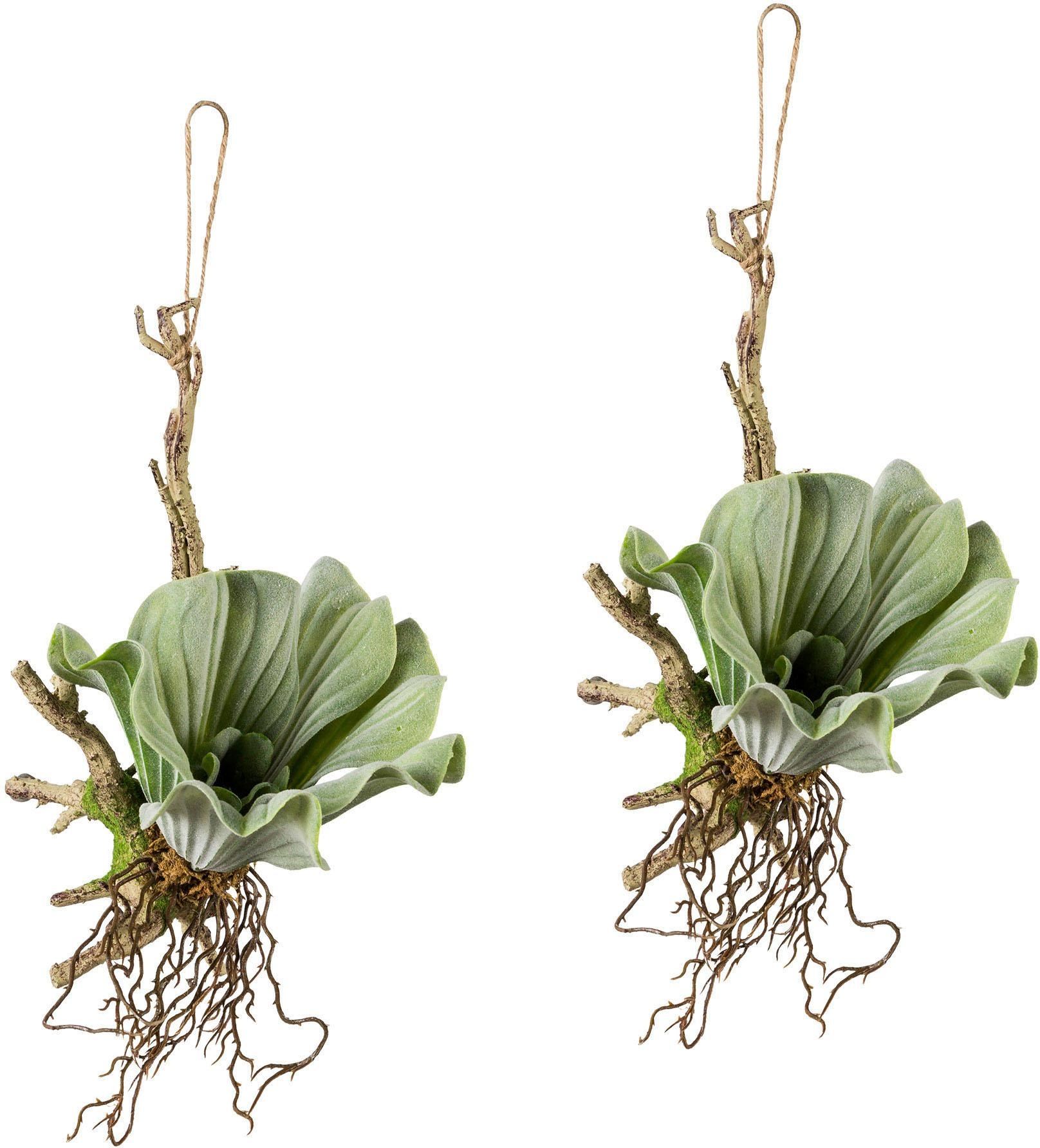 Creativ green Kunstranke, (2 St.), 2er Set kaufen