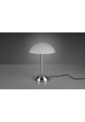 TRIO Leuchten Schreibtischlampe »Pilz«, E14, 1 St., E14 Tischleuchte mit Touchdimmer... kaufen