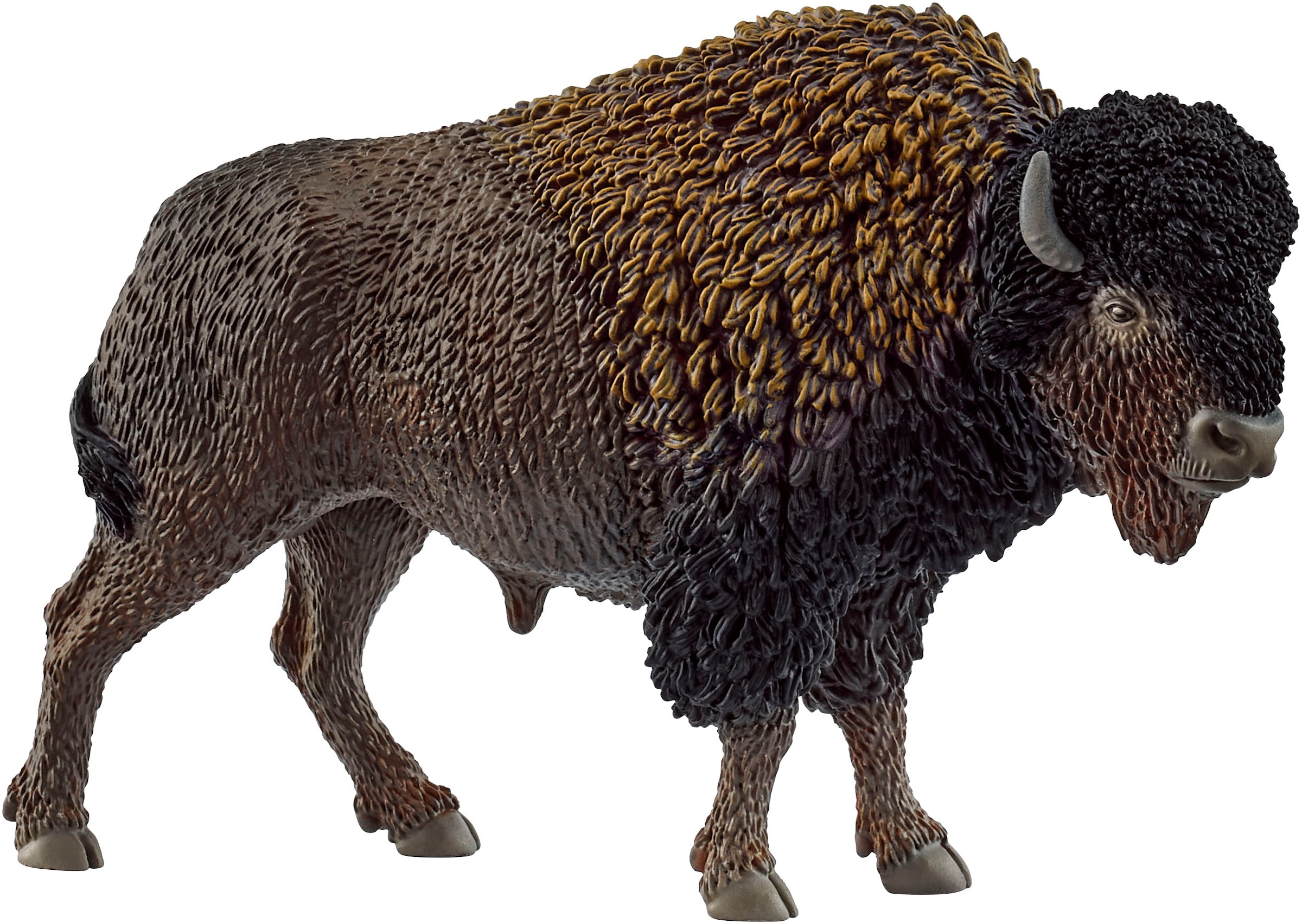 Schleich® Spielfigur »WILD LIFE, Bison  (14879)«