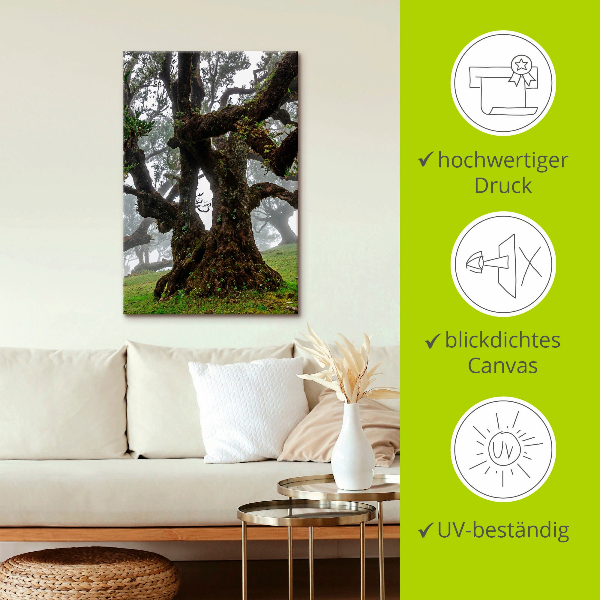 Artland Wandbild »Alter Lorbeerbaum«, Bäume, (1 St.), als Leinwandbild, Poster in verschied. Größen