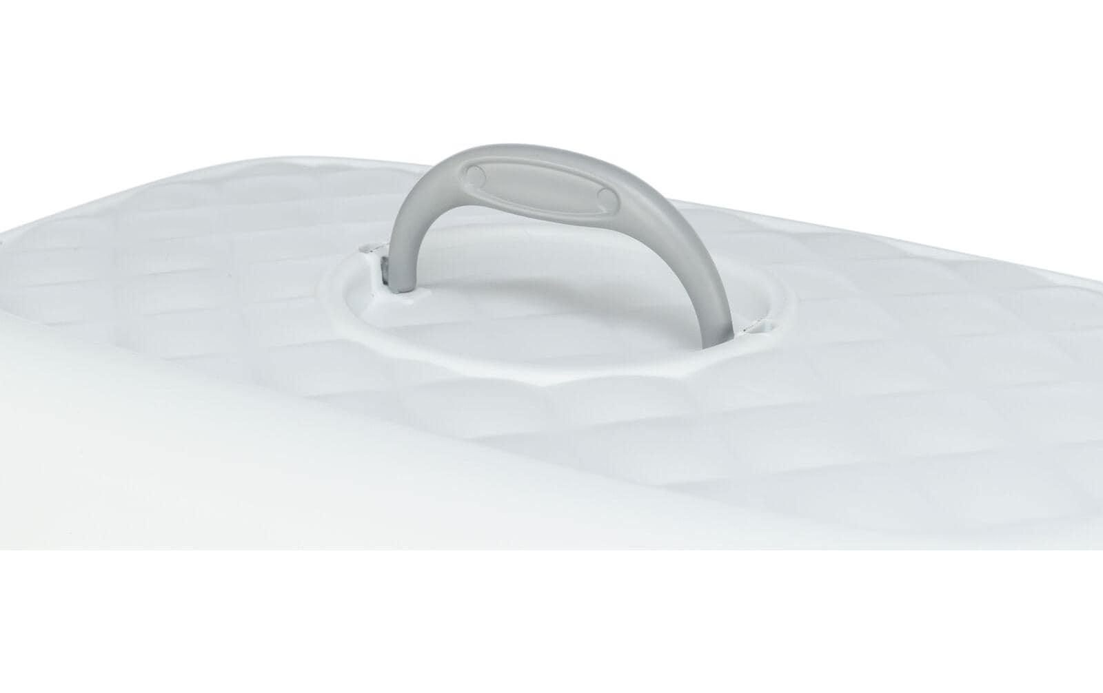 TRIXIE Katzentoilette »Davio Top 56 x 39 x 39 cm«