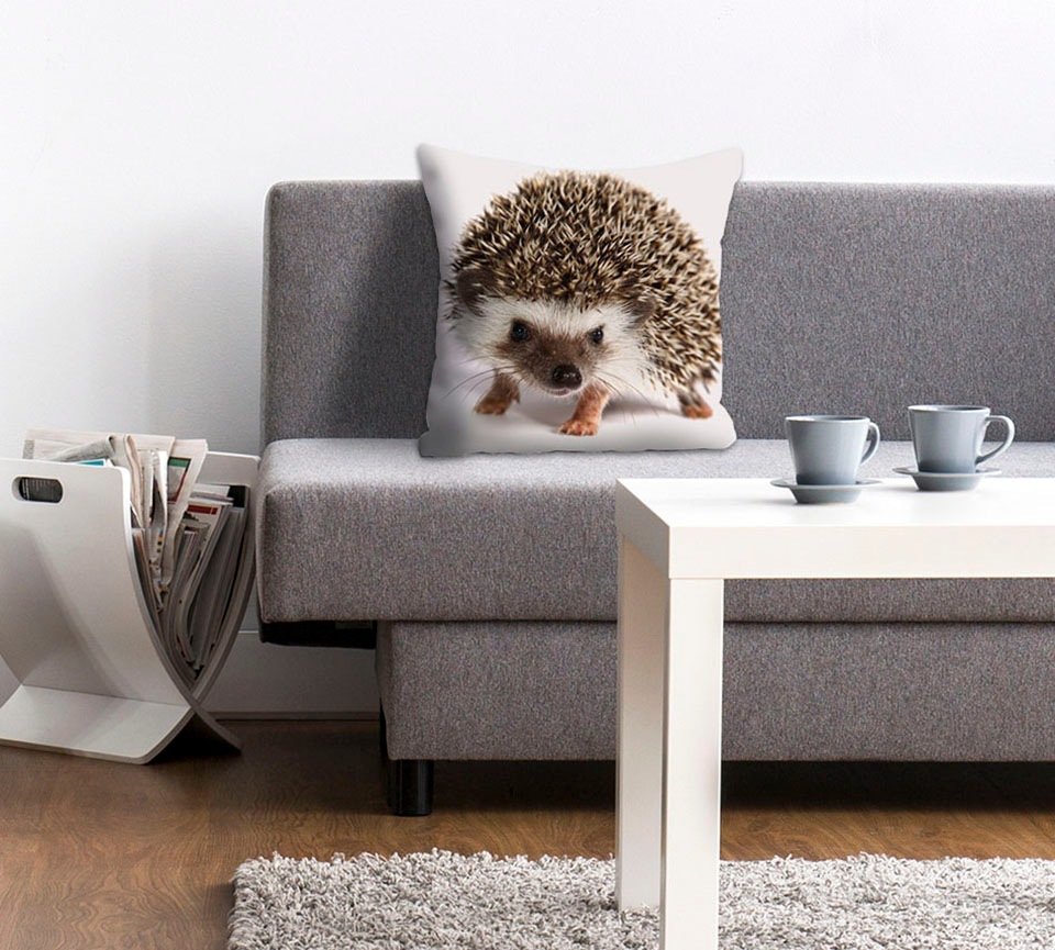 queence Dekokissen »Veit«, (1 St.), mit knuffigem Igel, Kissenhülle ohne Fü günstig online kaufen